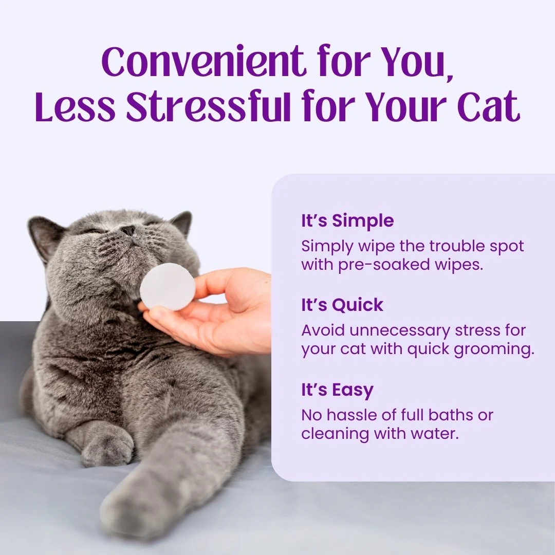 Acne Away Cat Acne Wipes - Image 4