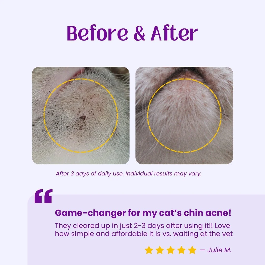 Acne Away Cat Acne Wipes - Image 6
