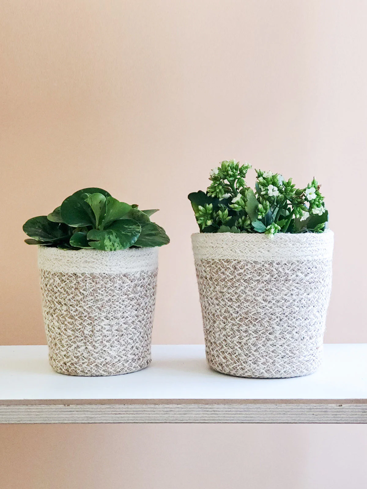 Agora Plant Basket - White - Image 2
