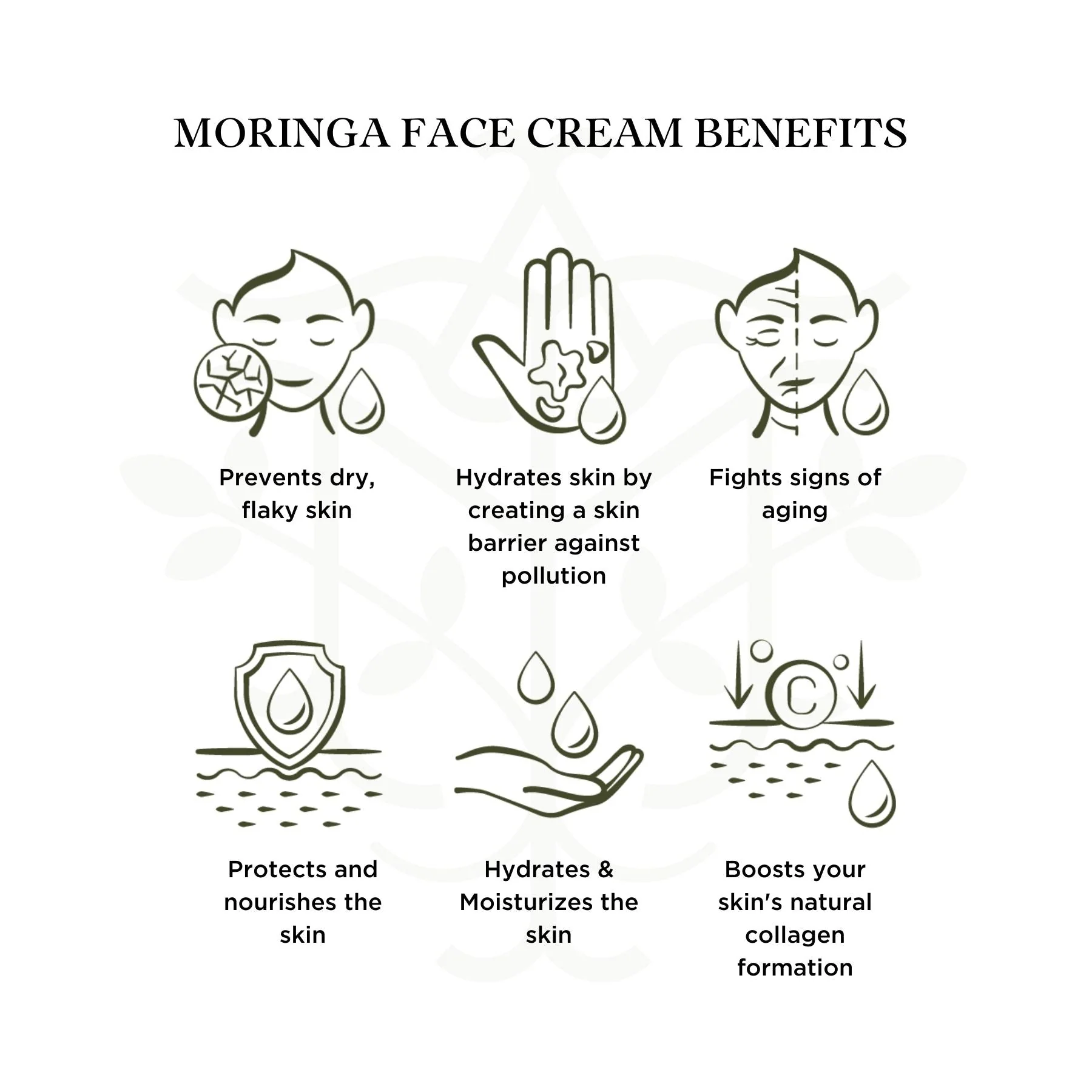 All Natural Moringa Hydrate and Nourish Face Cream for Sensitive Skin - Image 6
