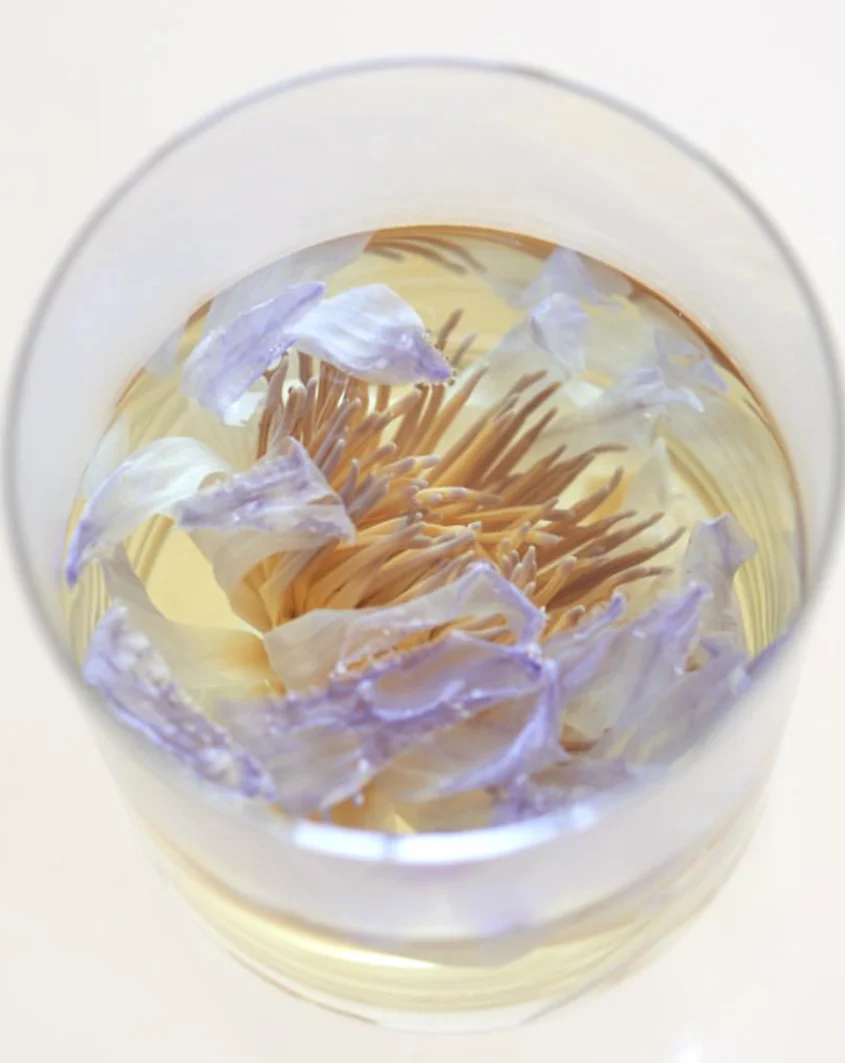 Blue Lotus Tea - Image 8