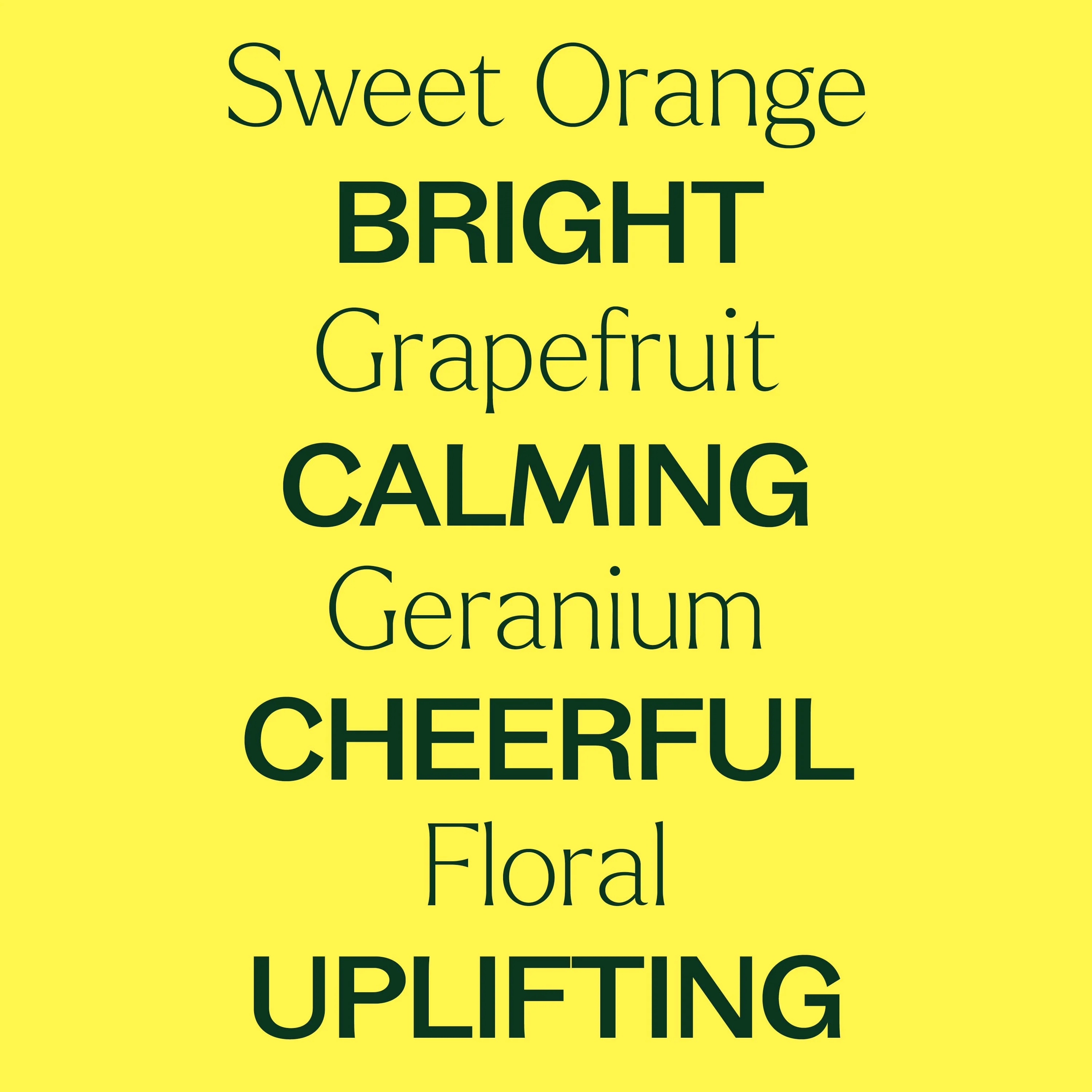 Blues Buster Essential Oil Blend - Image 5