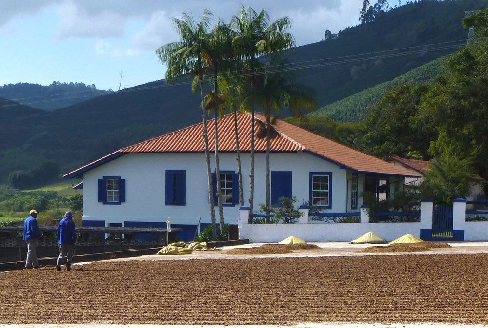 Brazil Decaf - Image 10