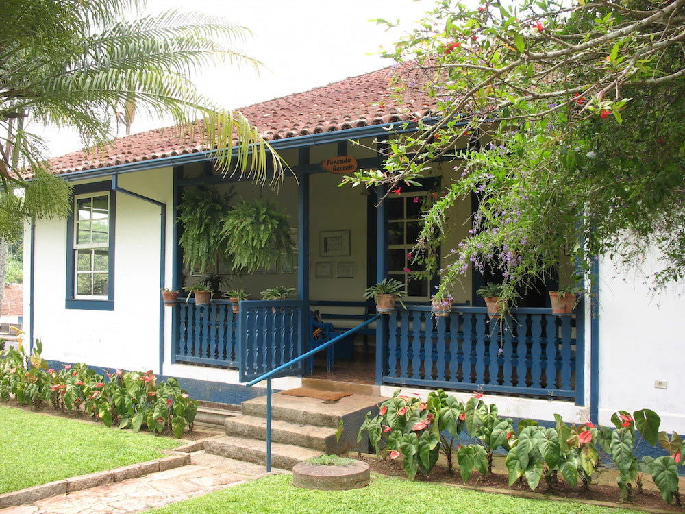 Brazil Decaf - Image 11