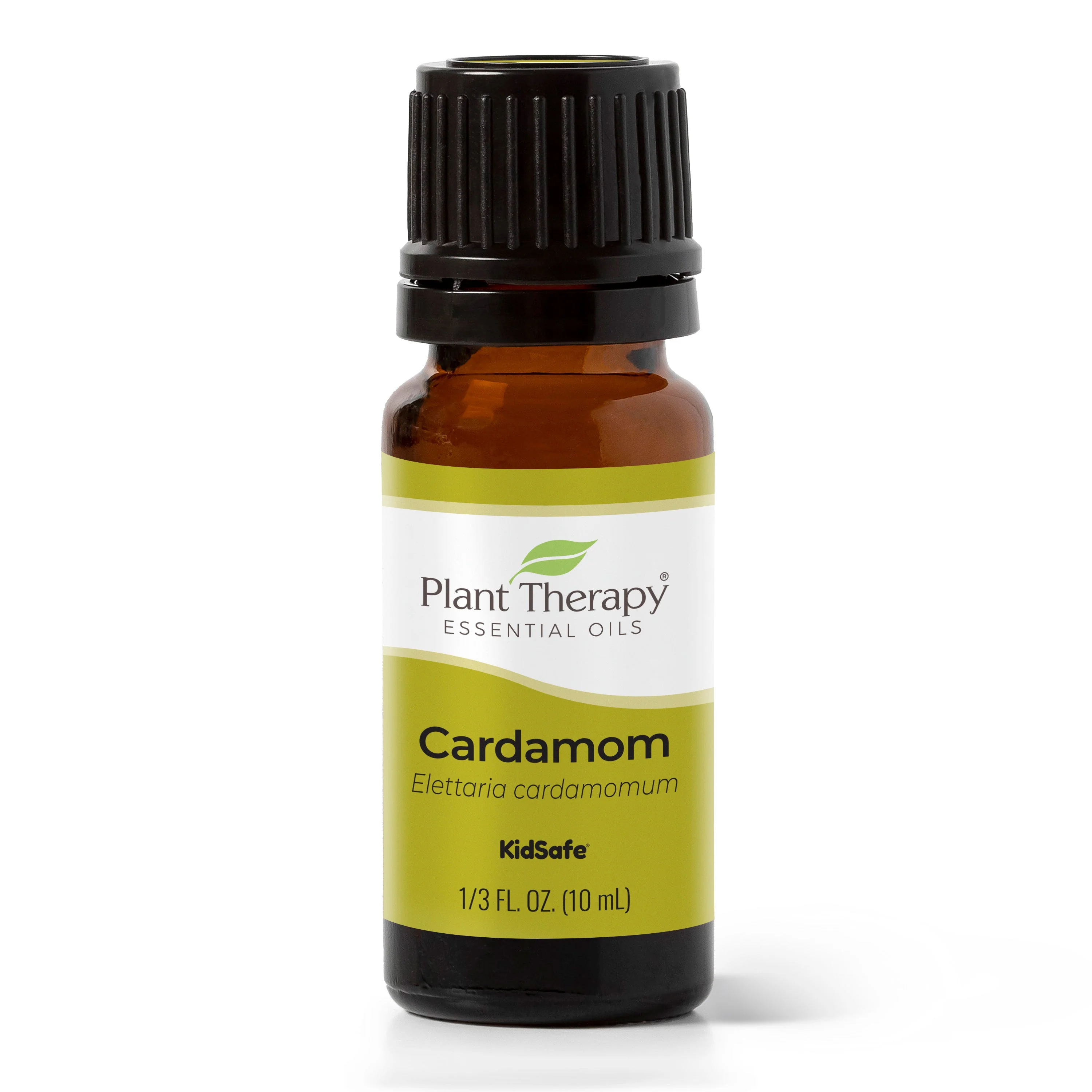 Cardamom Essential Oil - Image 2