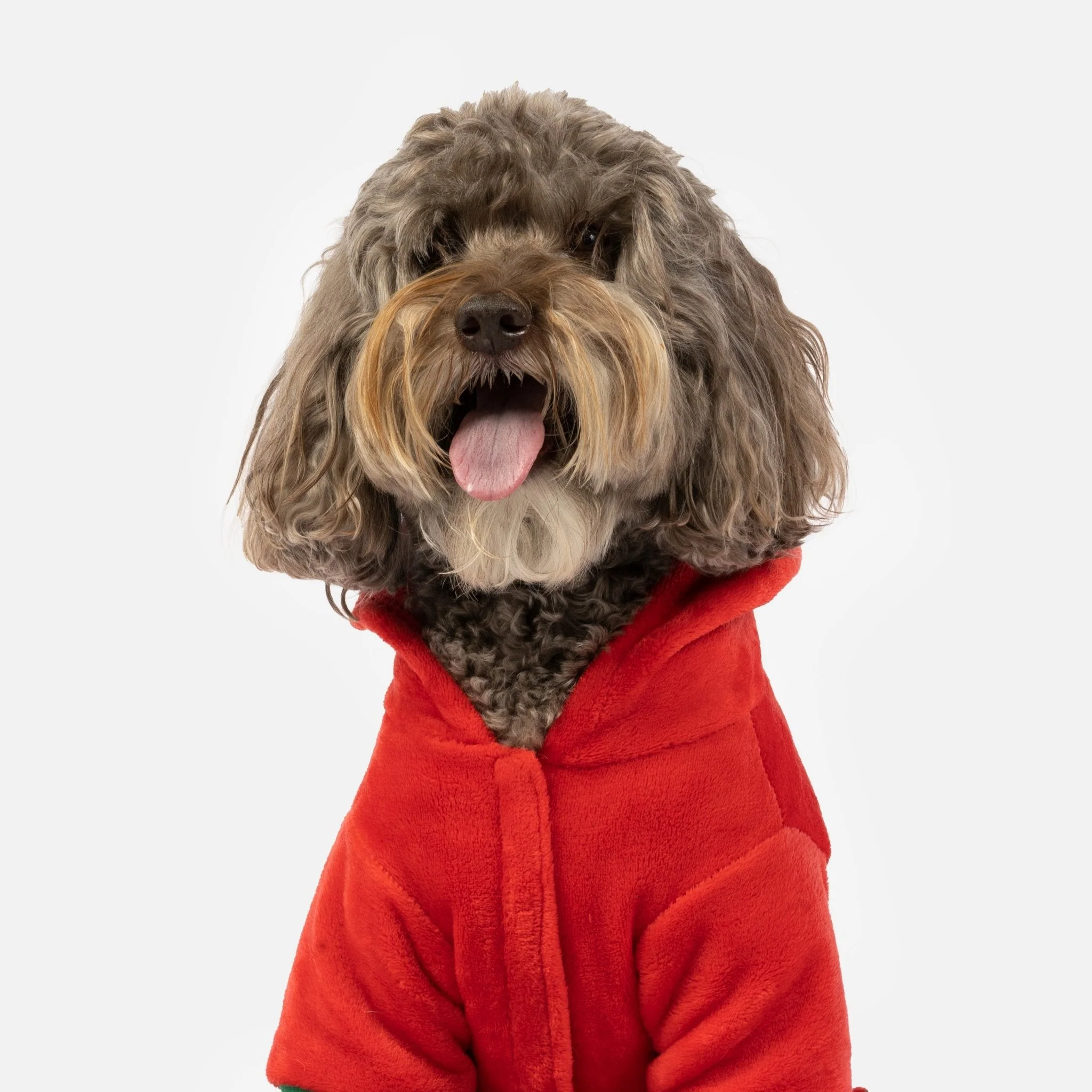 Christmas Tree Dog Pjs - Image 4