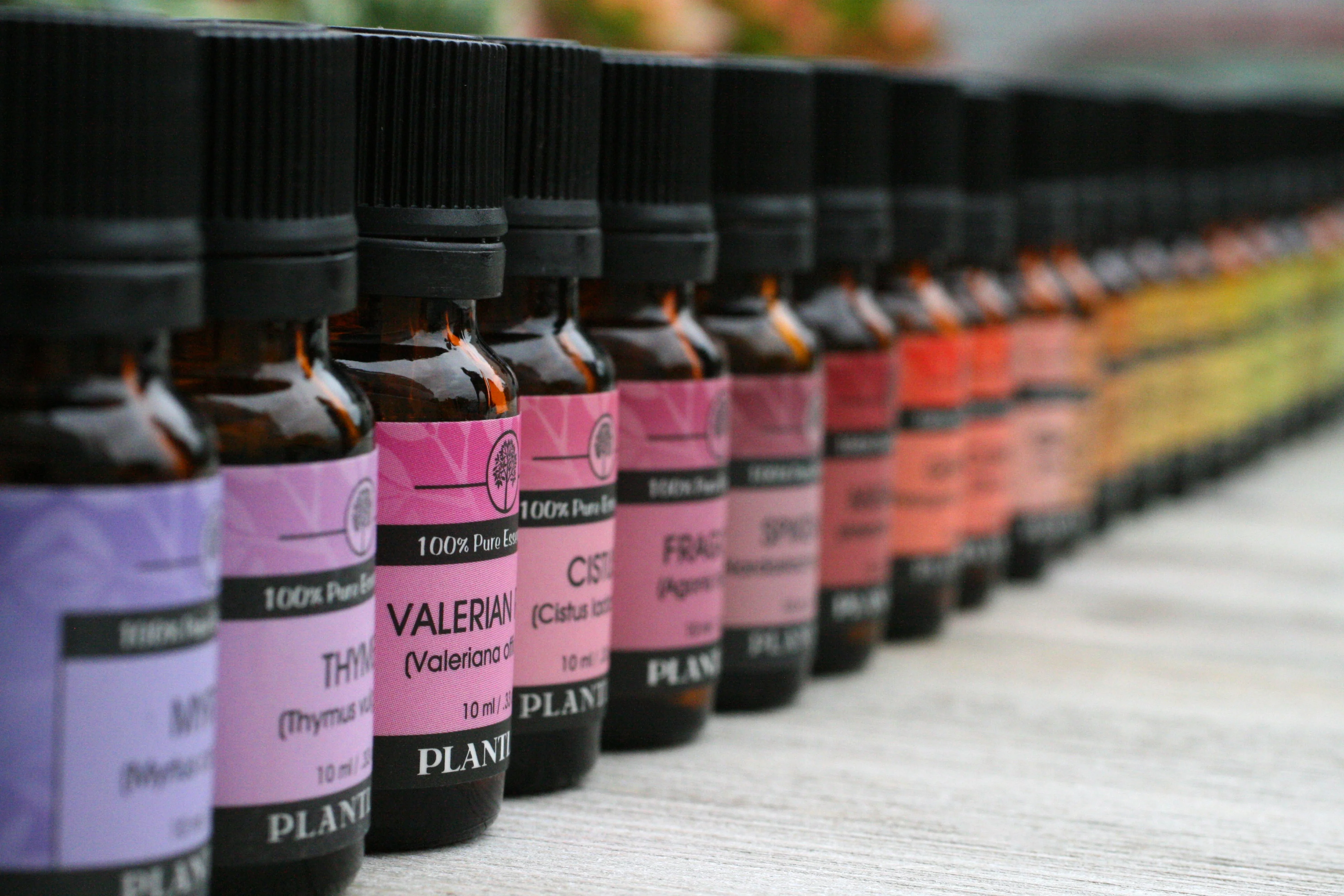 Cistus Essential Oil - Image 3
