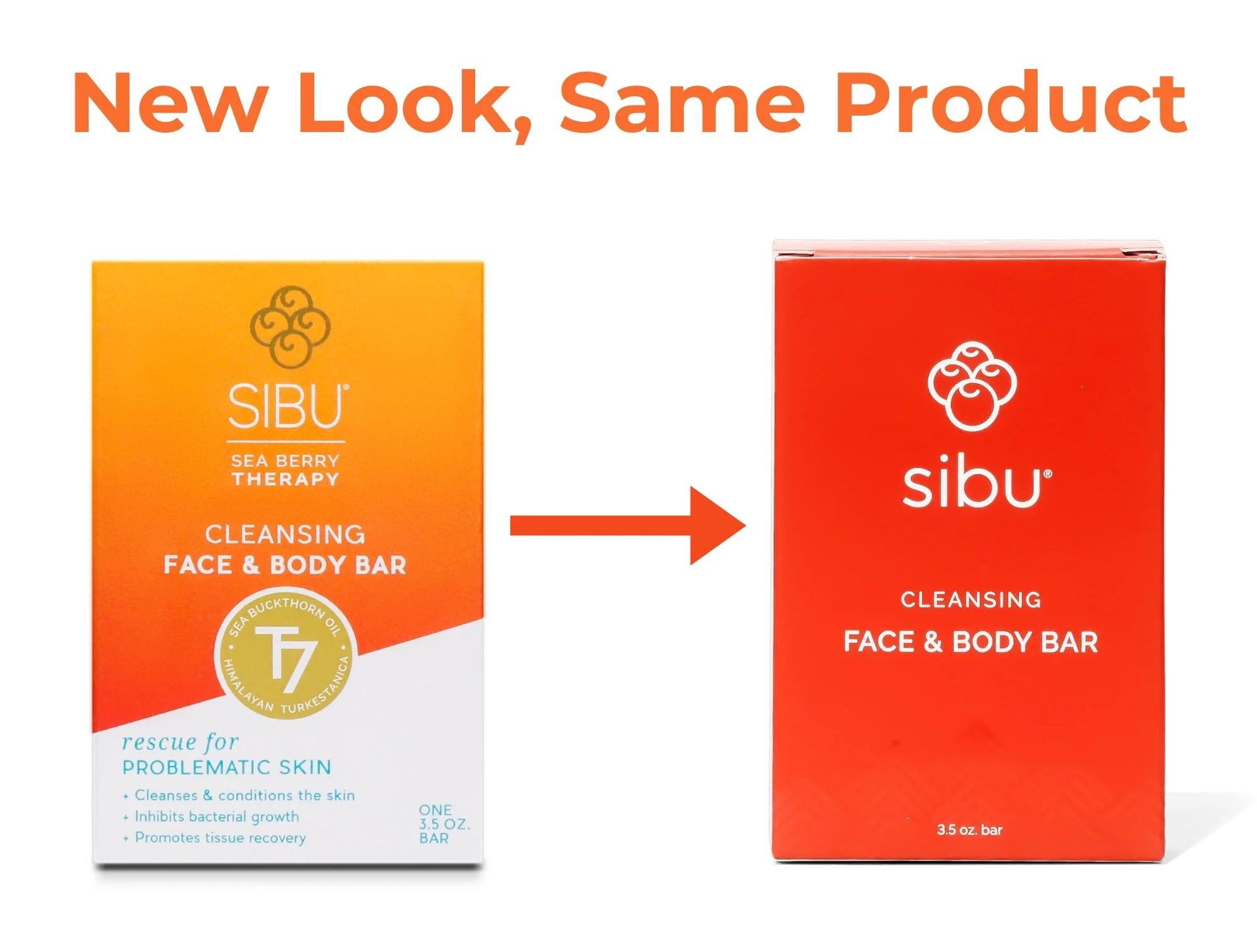 Cleansing Face & Body Bar - Image 5