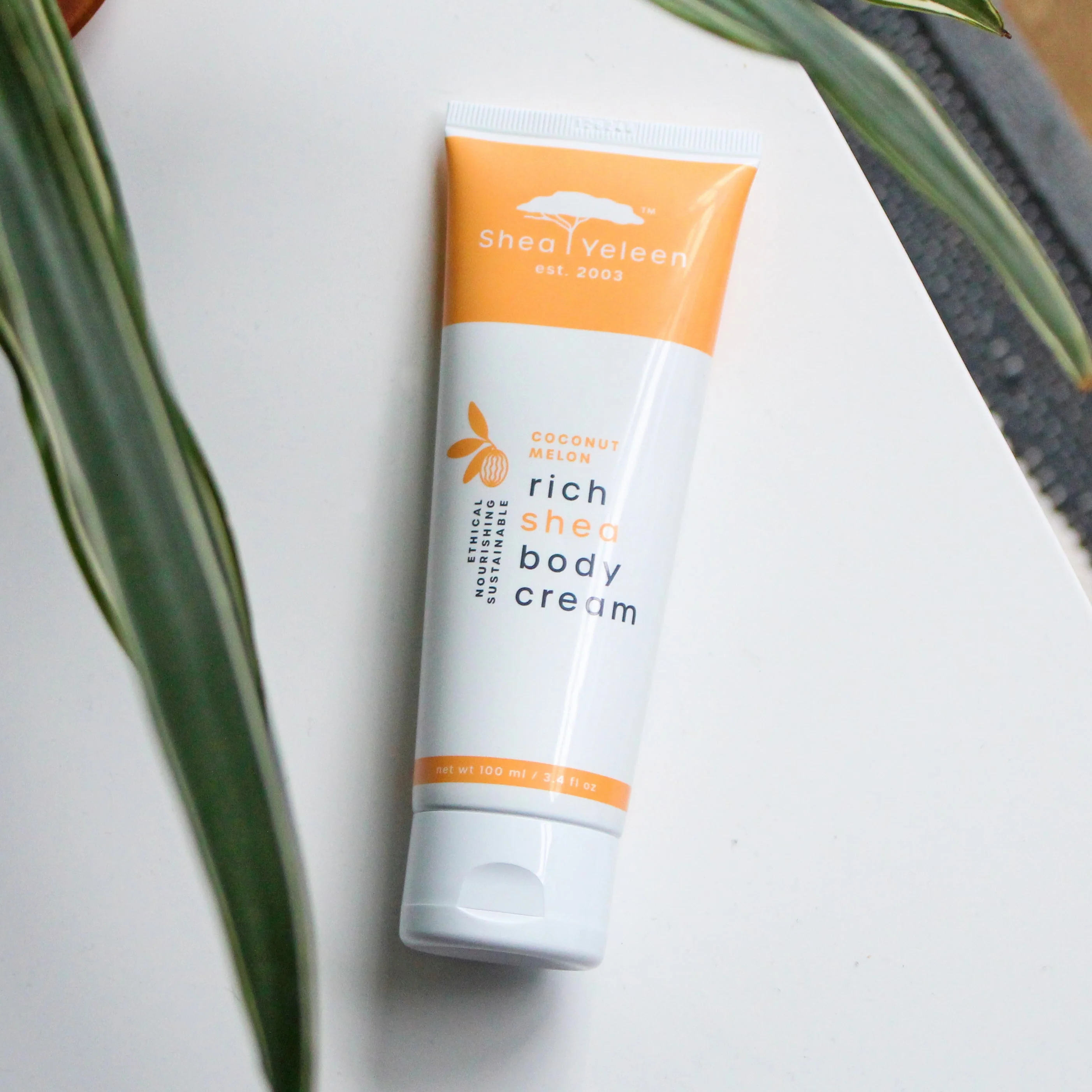 Coconut Melon Shea Butter Body Cream - 3.4 oz - Image 2