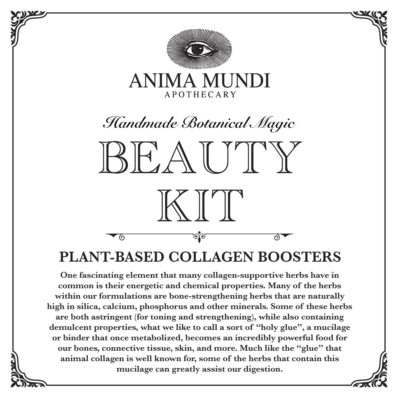 COLLAGEN BEAUTY KIT | Skin, Hair, Nails + Bones - Image 6
