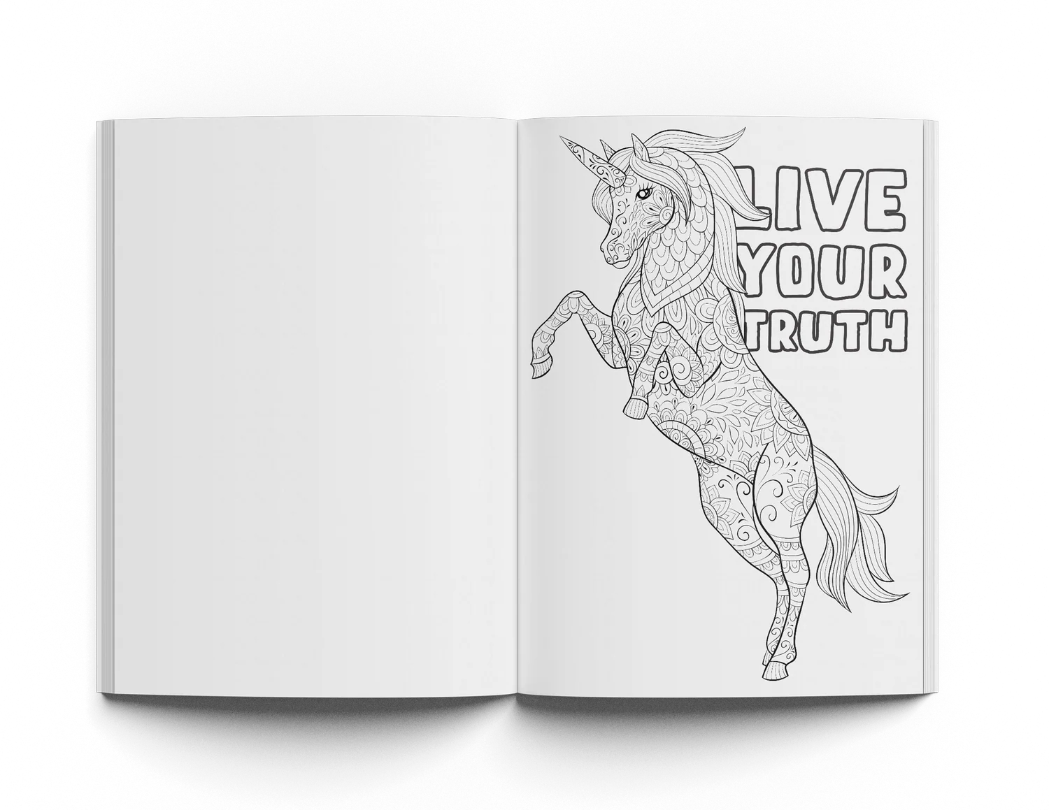 Creative Extra Fun Bundle (Original + Vol2 + Color V1 + V2) - Image 36