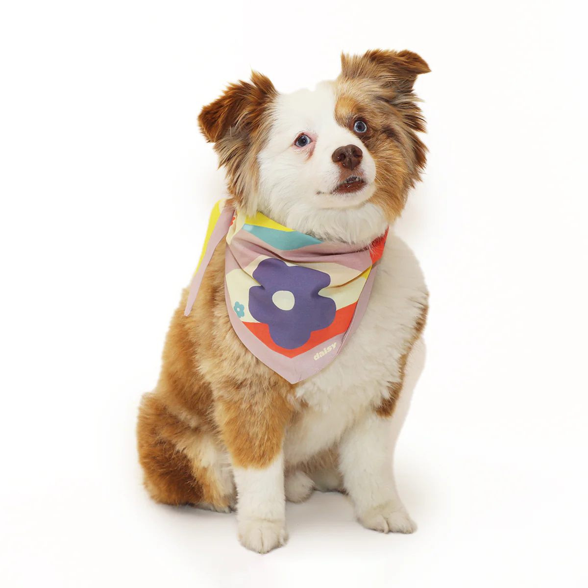 Daisy Scarf