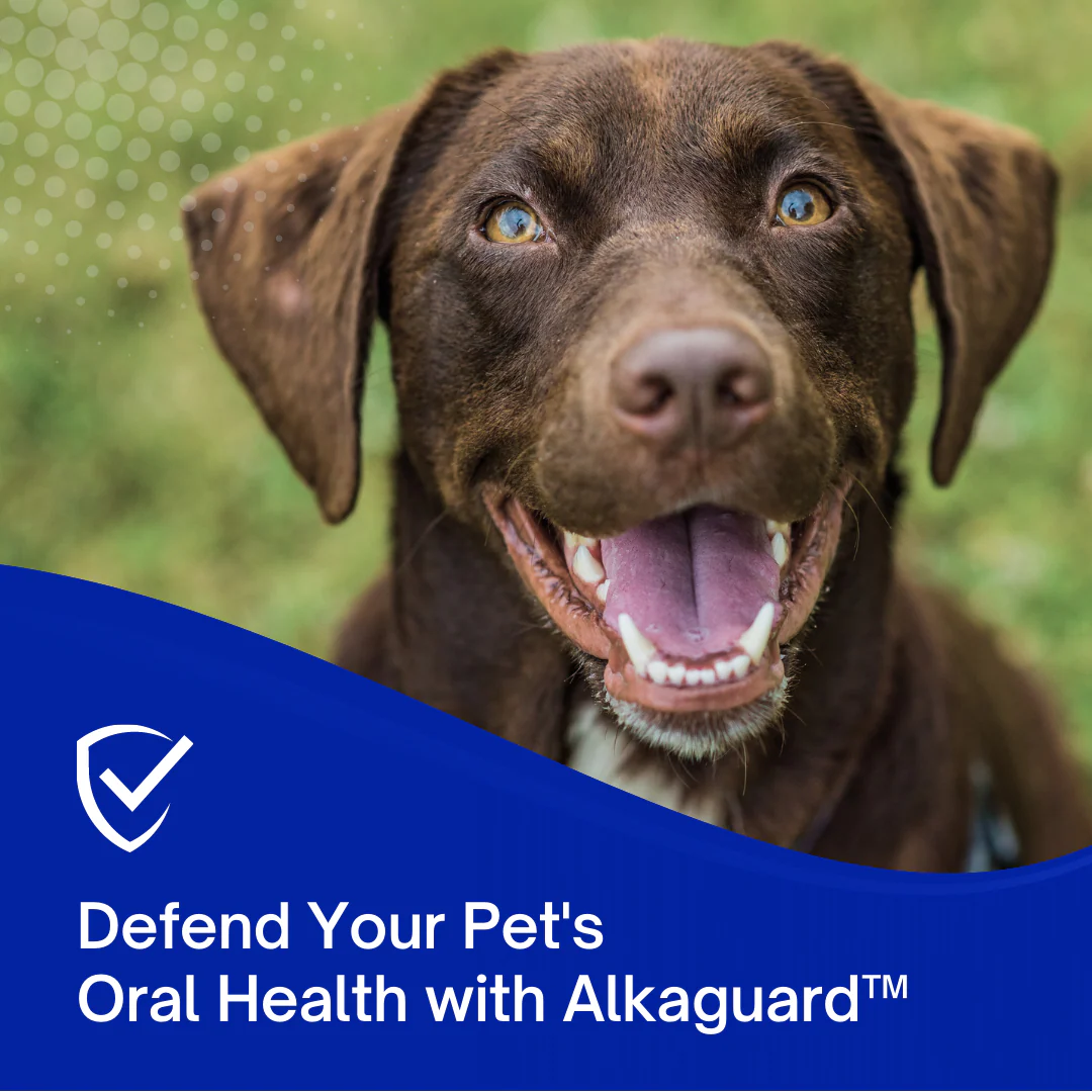 Dental Water Additive for Dogs & Cats - Image 6