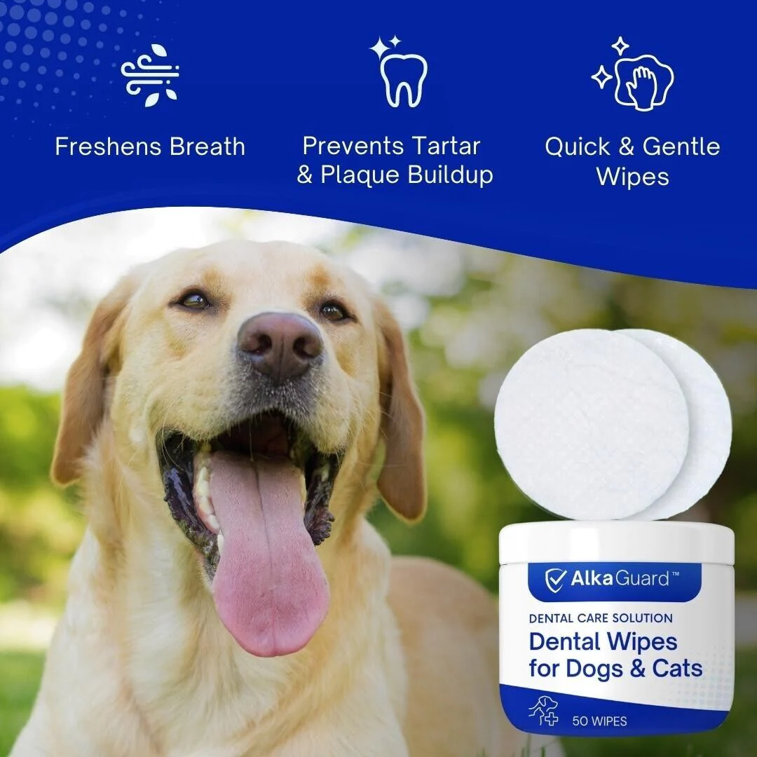 Dental Wipes for Dogs & Cats - Image 2