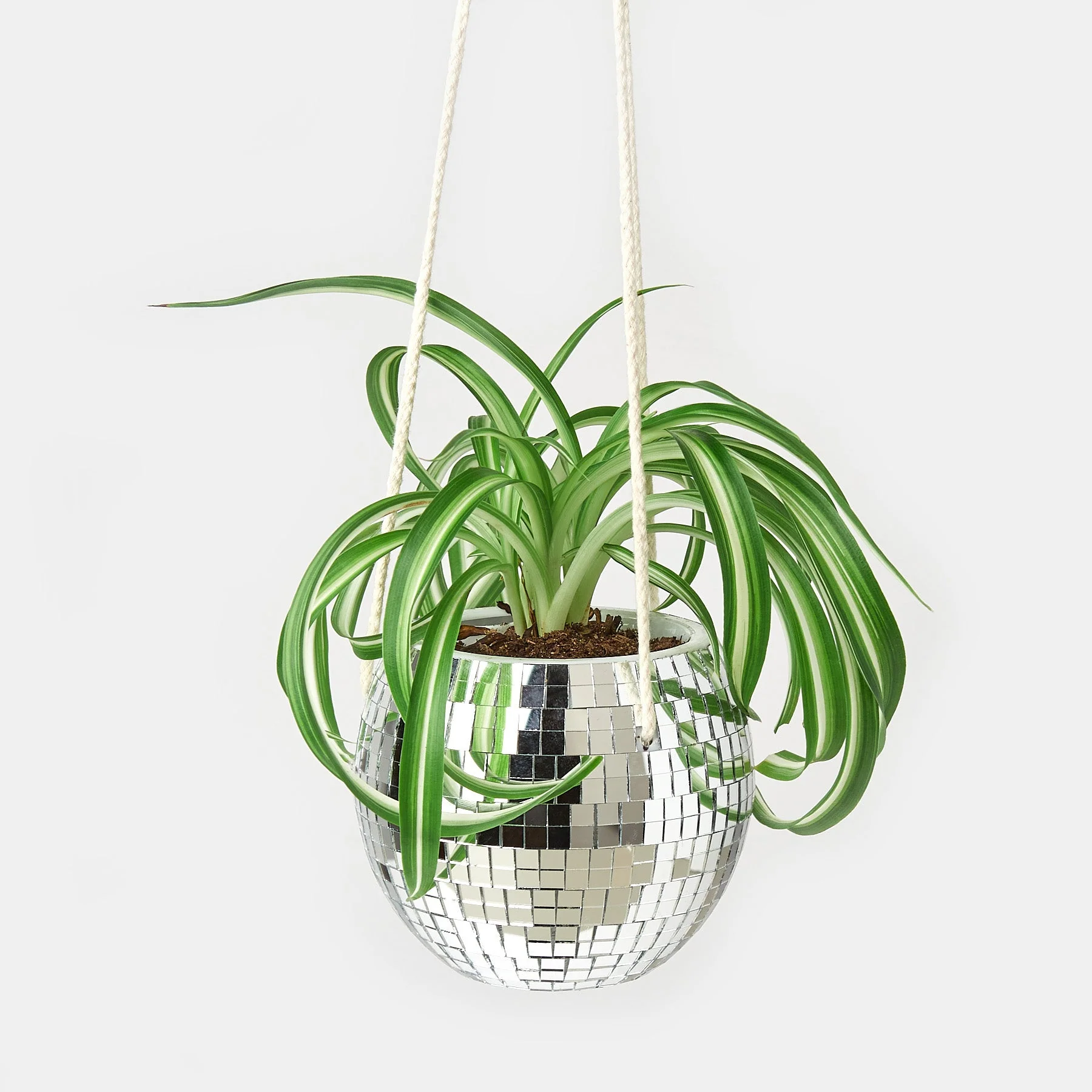 Disco Ball Hanging Planters - Image 2