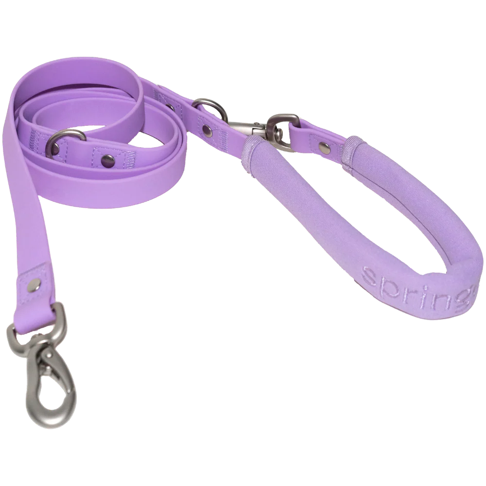 Dog Leash