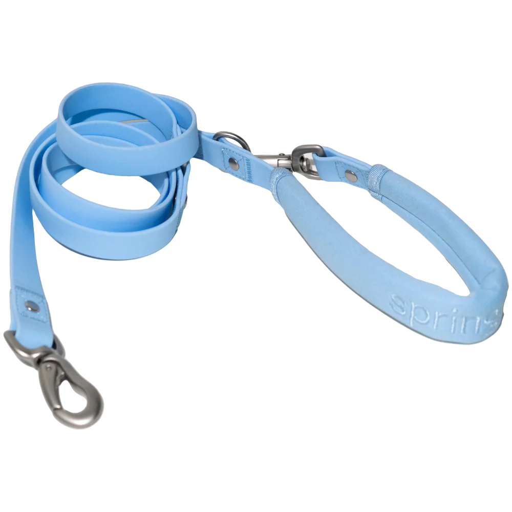 Dog Leash - Image 5