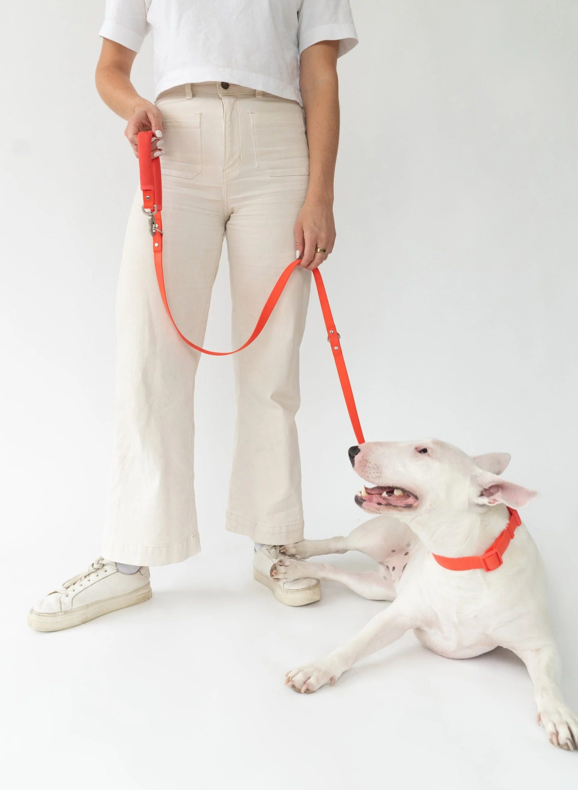 Dog Leash - Image 2