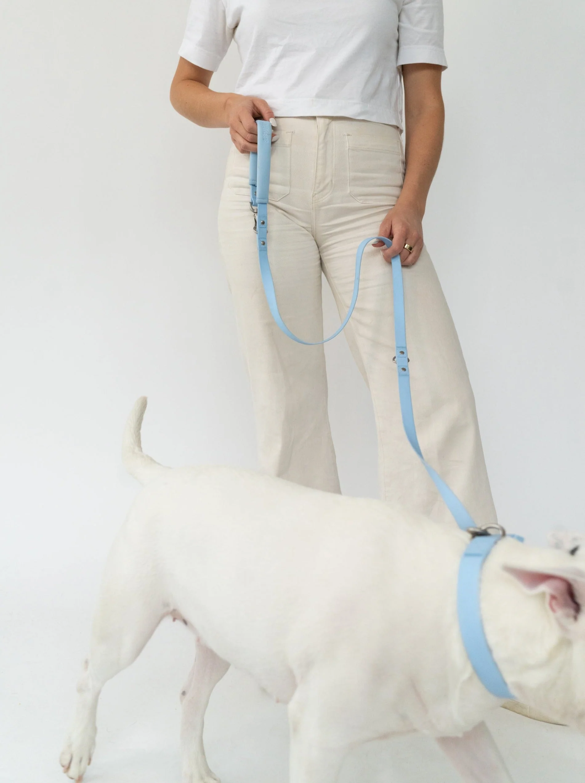 Dog Leash - Image 3