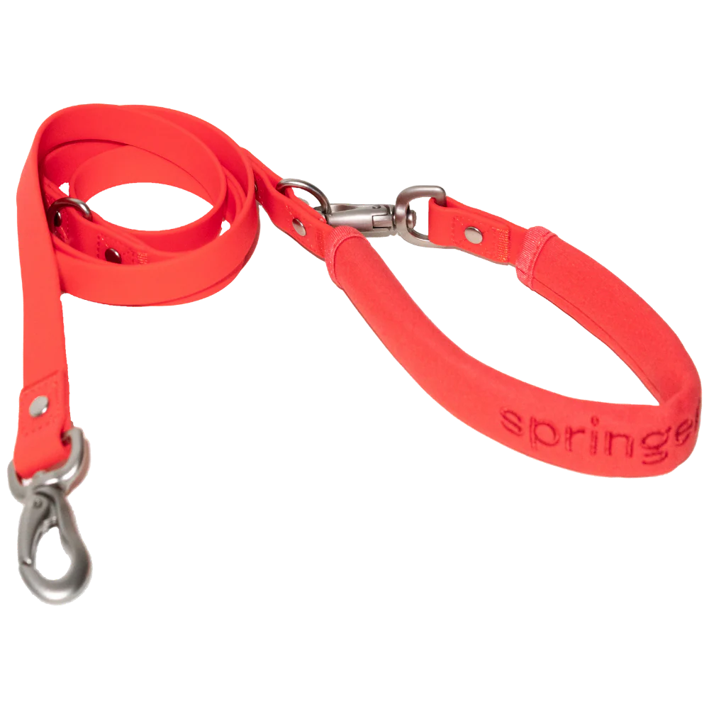 Dog Leash - Image 4
