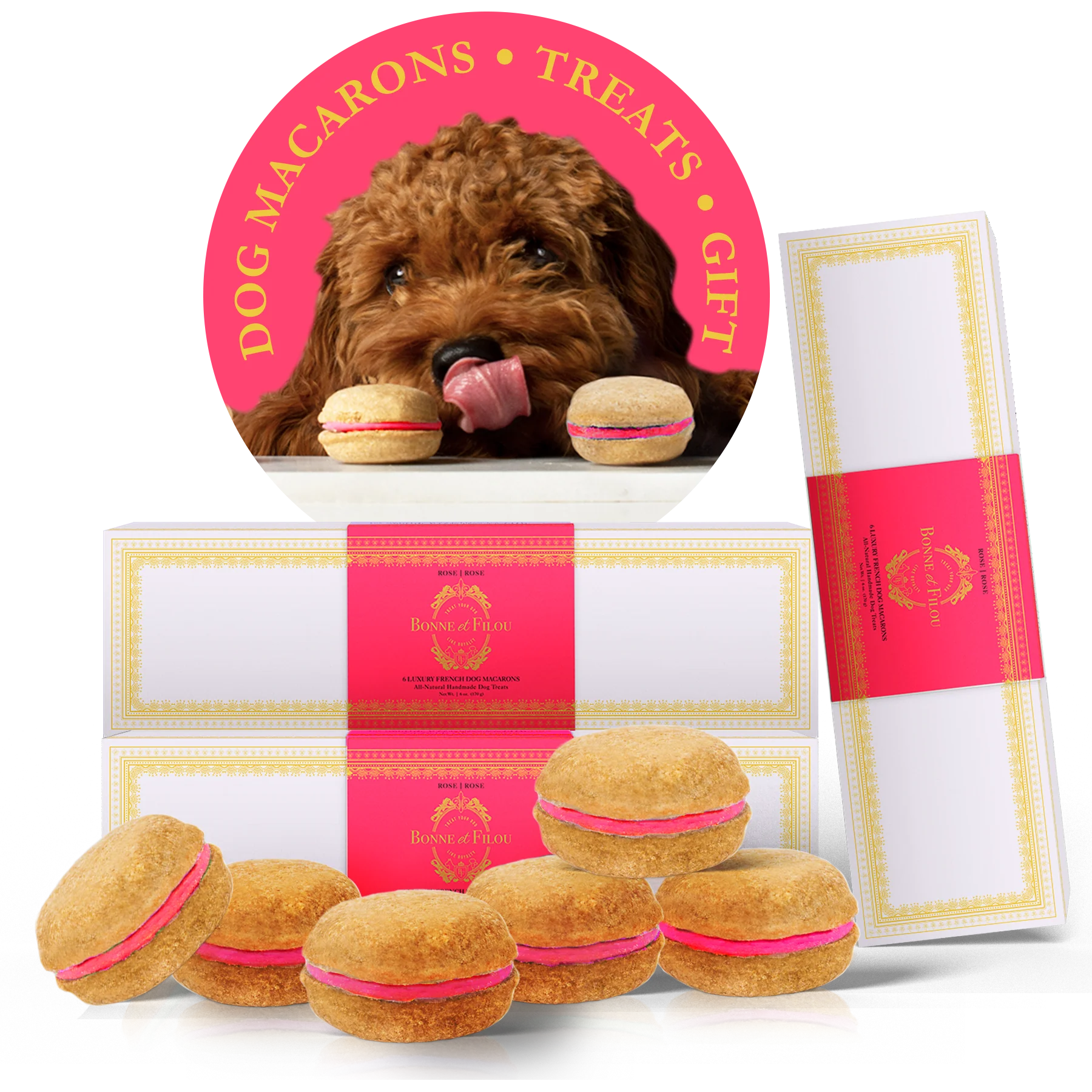 Dog Macaron Club - 6 Months Gift Subscription - Image 11