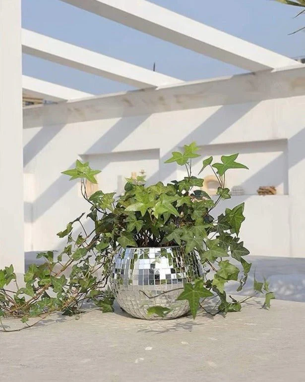 Eclectic Whimsical Disco Ball Hanging Herb Planters for Indoor, Outdoor & Front yard - Image 2