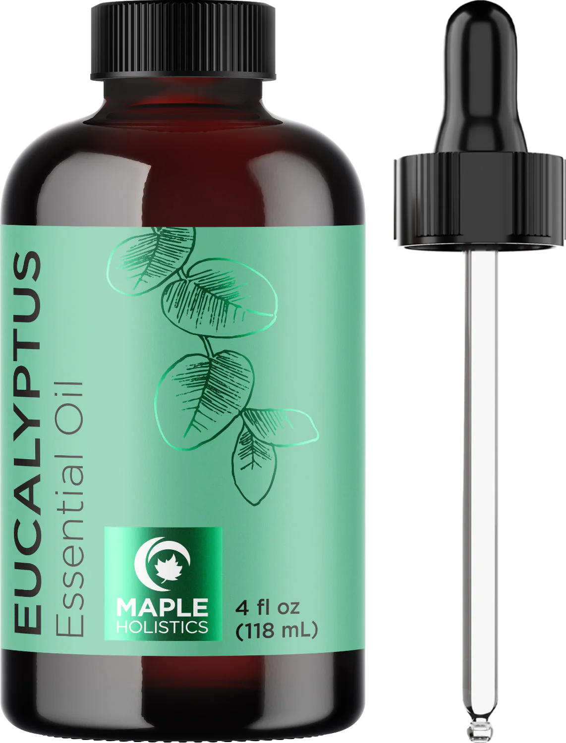Eucalyptus Essential Oil - Image 11