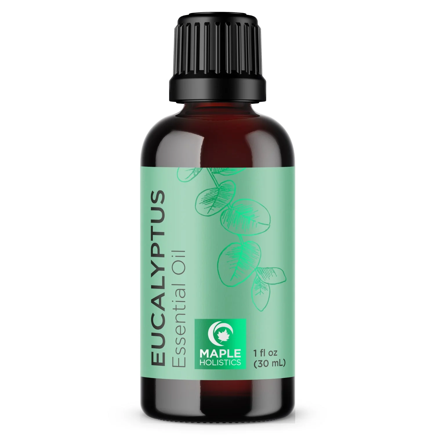 Eucalyptus Essential Oil - Image 2