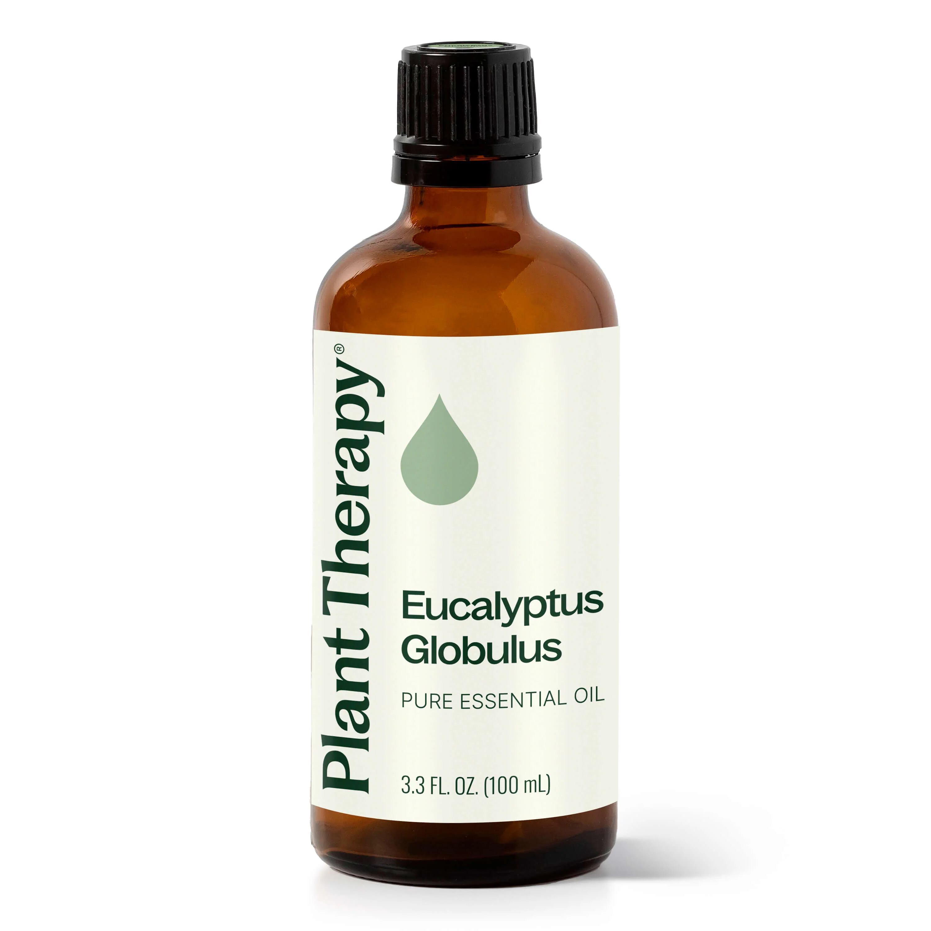 Eucalyptus Globulus Essential Oil - Image 8
