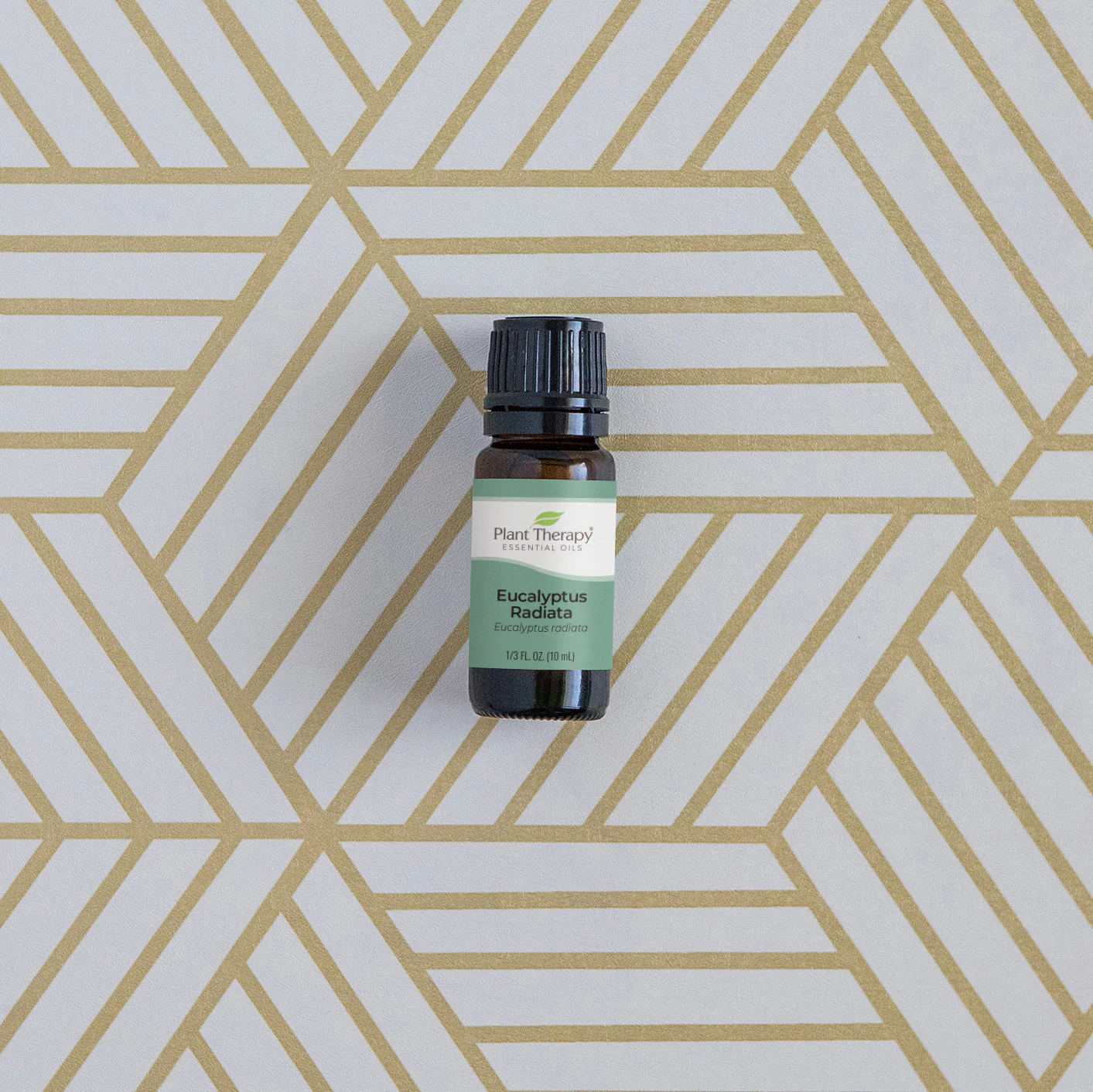 Eucalyptus Radiata Essential Oil - Image 2