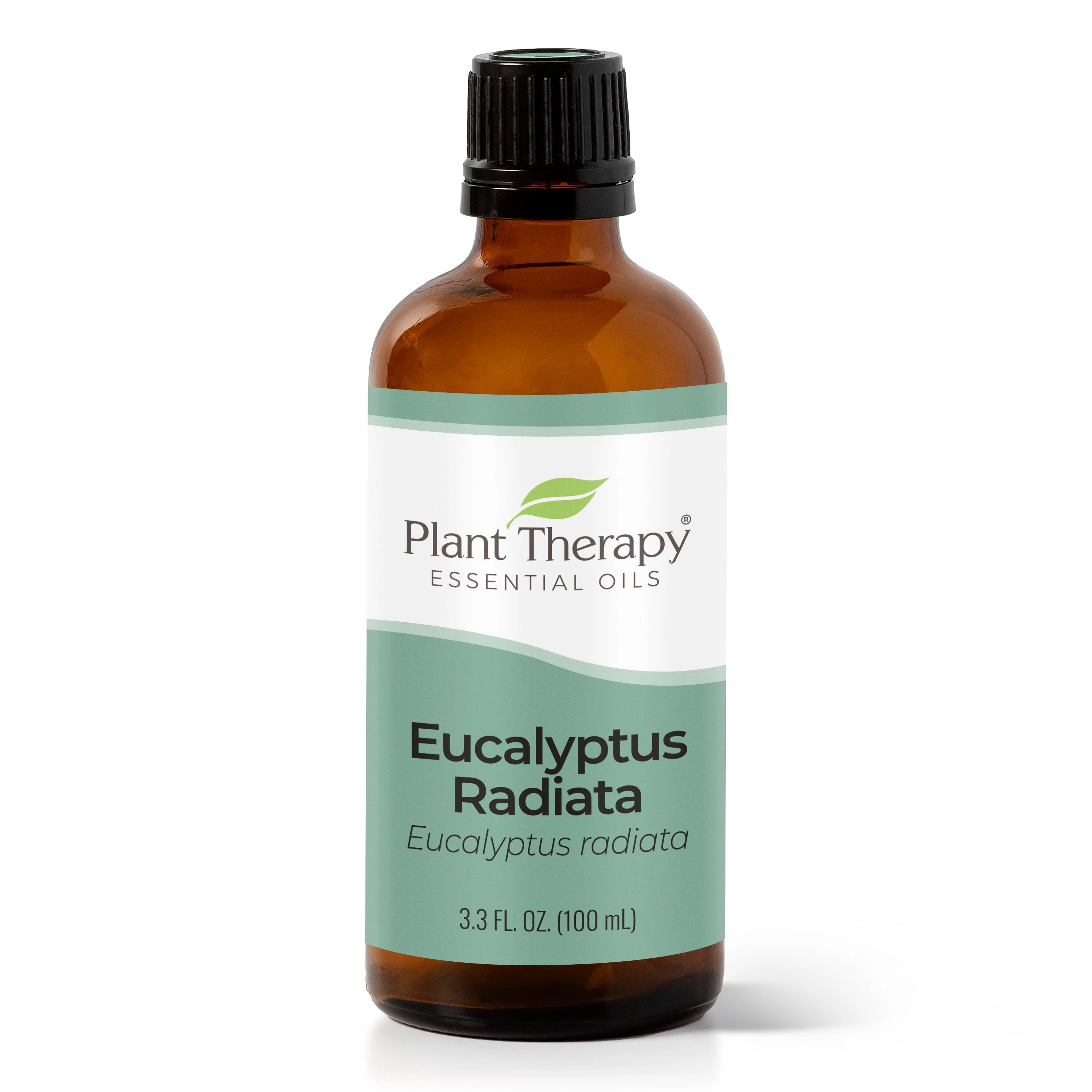 Eucalyptus Radiata Essential Oil - Image 5
