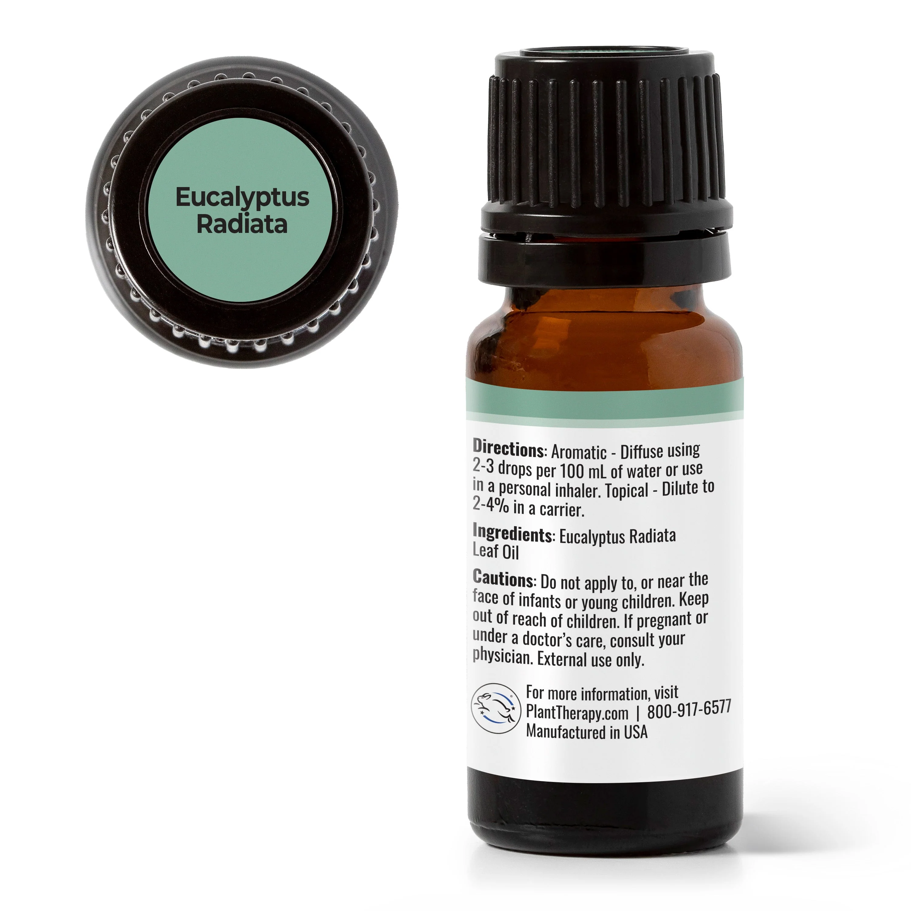 Eucalyptus Radiata Essential Oil - Image 6