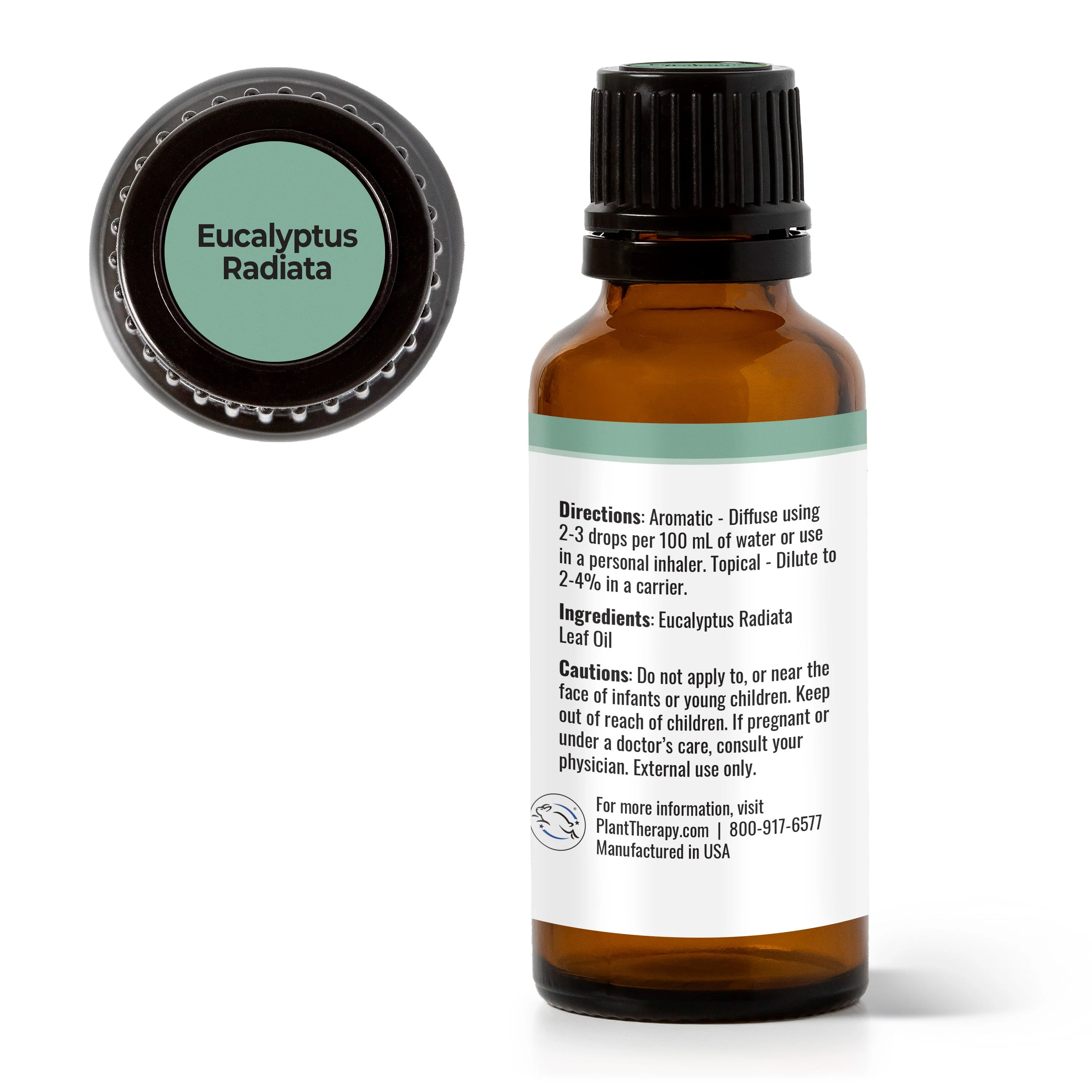 Eucalyptus Radiata Essential Oil - Image 7