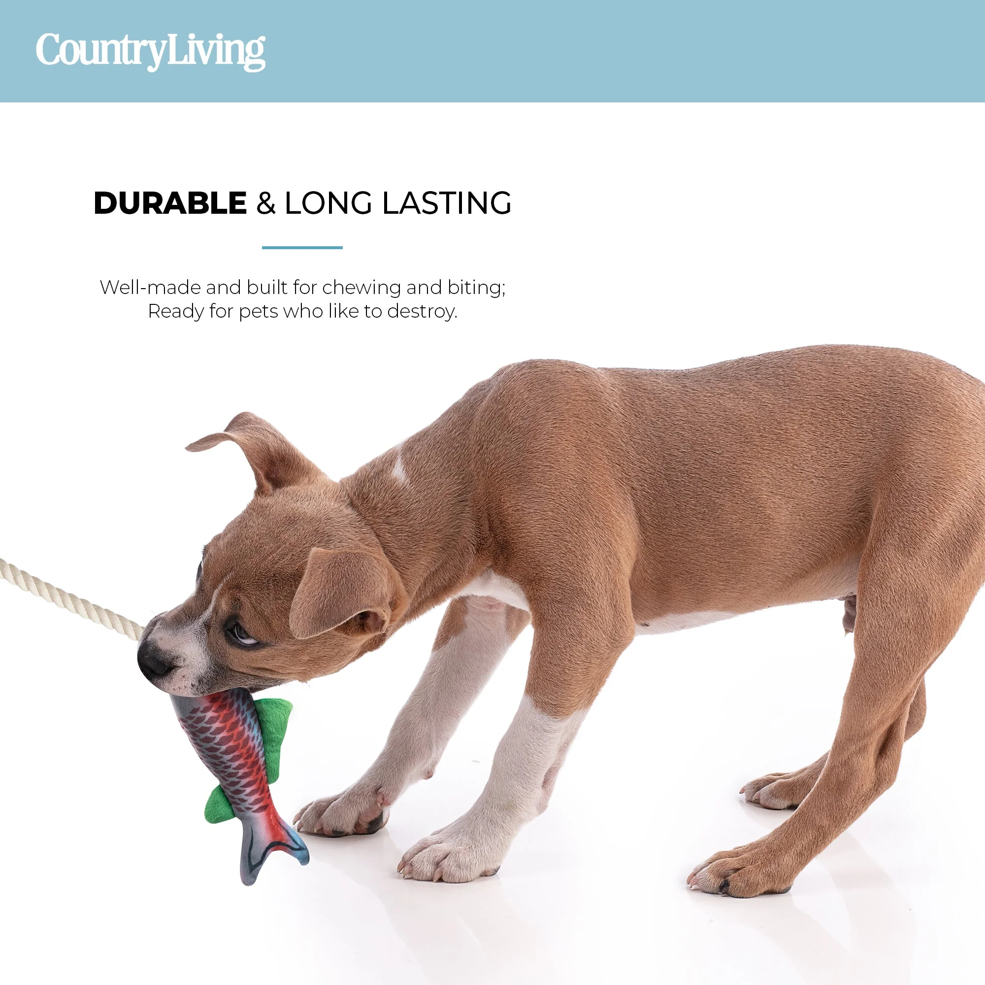 Fish & Mason Jar Dog Toys 2 Pack - Image 5