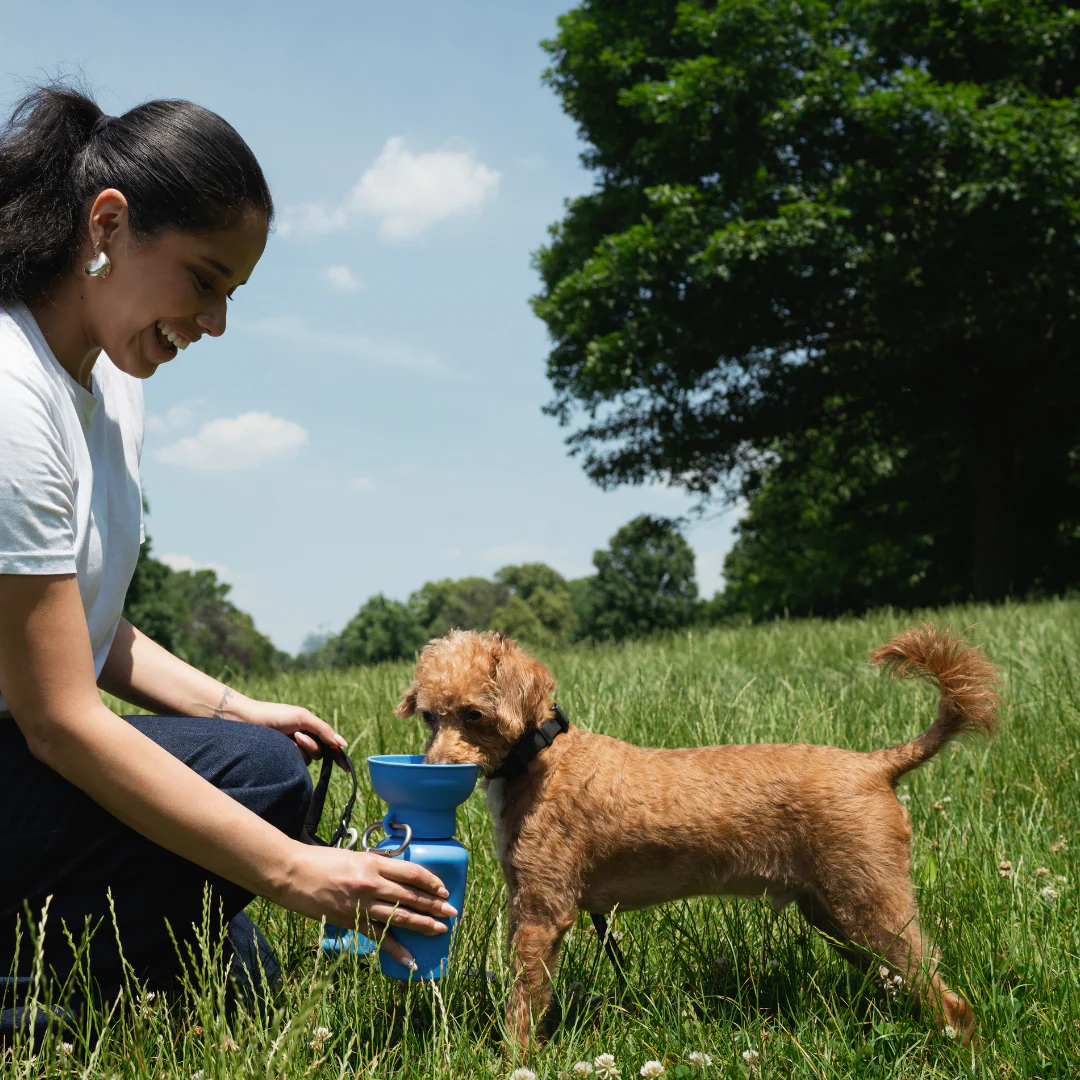 Flip Dog Travel Bottle - Image 6