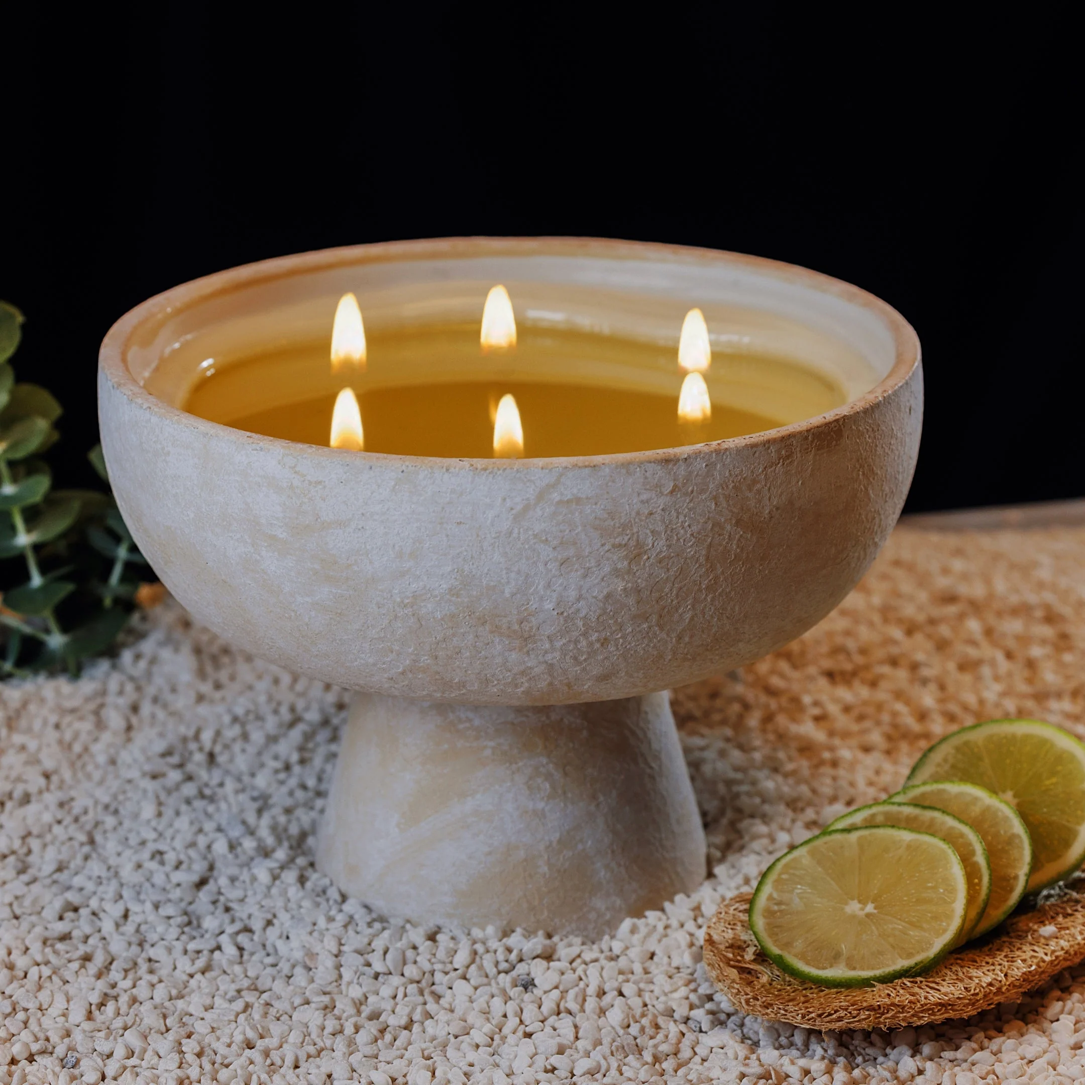 Focus - Ceramic Refillable Candle - Eucalyptus & Lime - Image 11