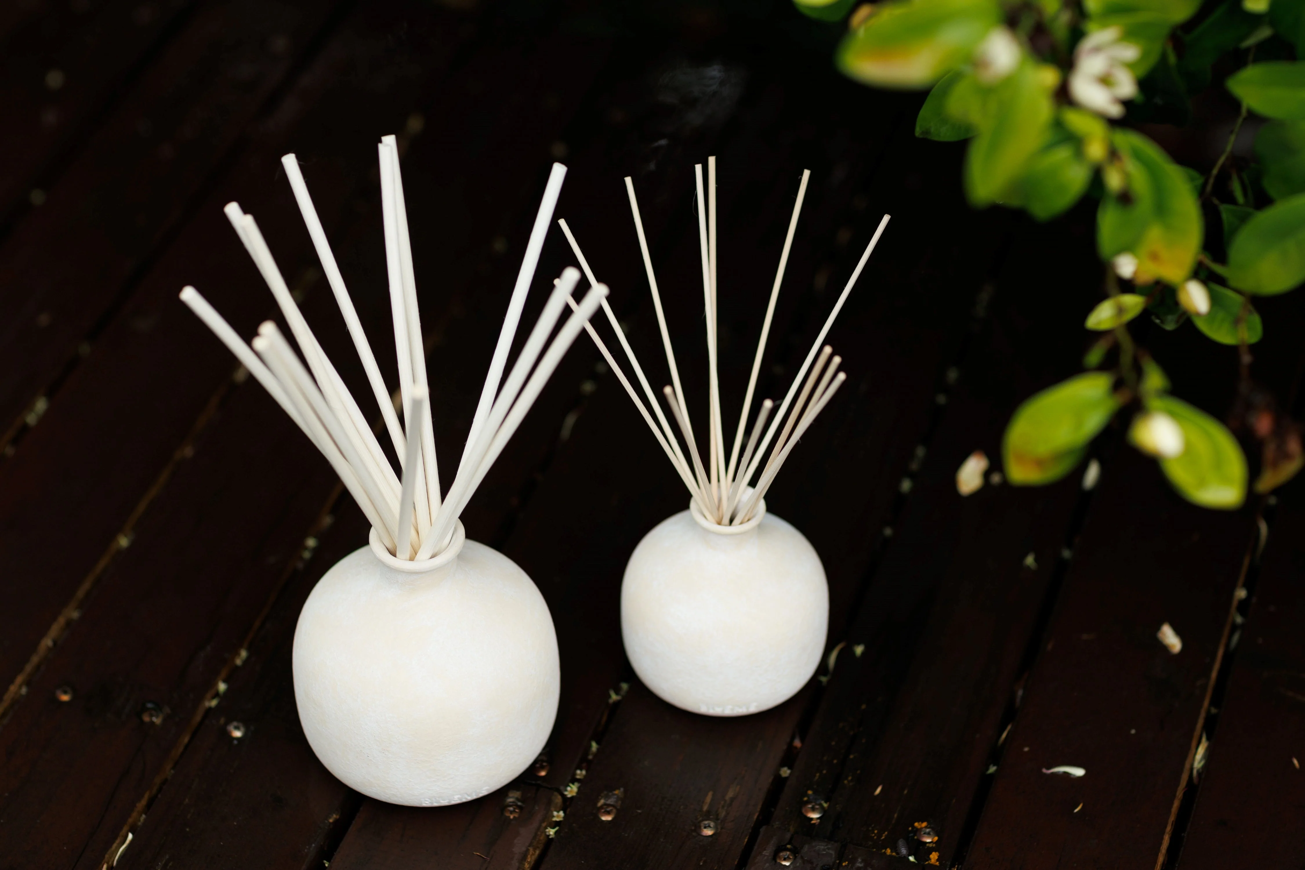 Focus - Diffuser Oil - Eucalyptus & Lime - Image 4
