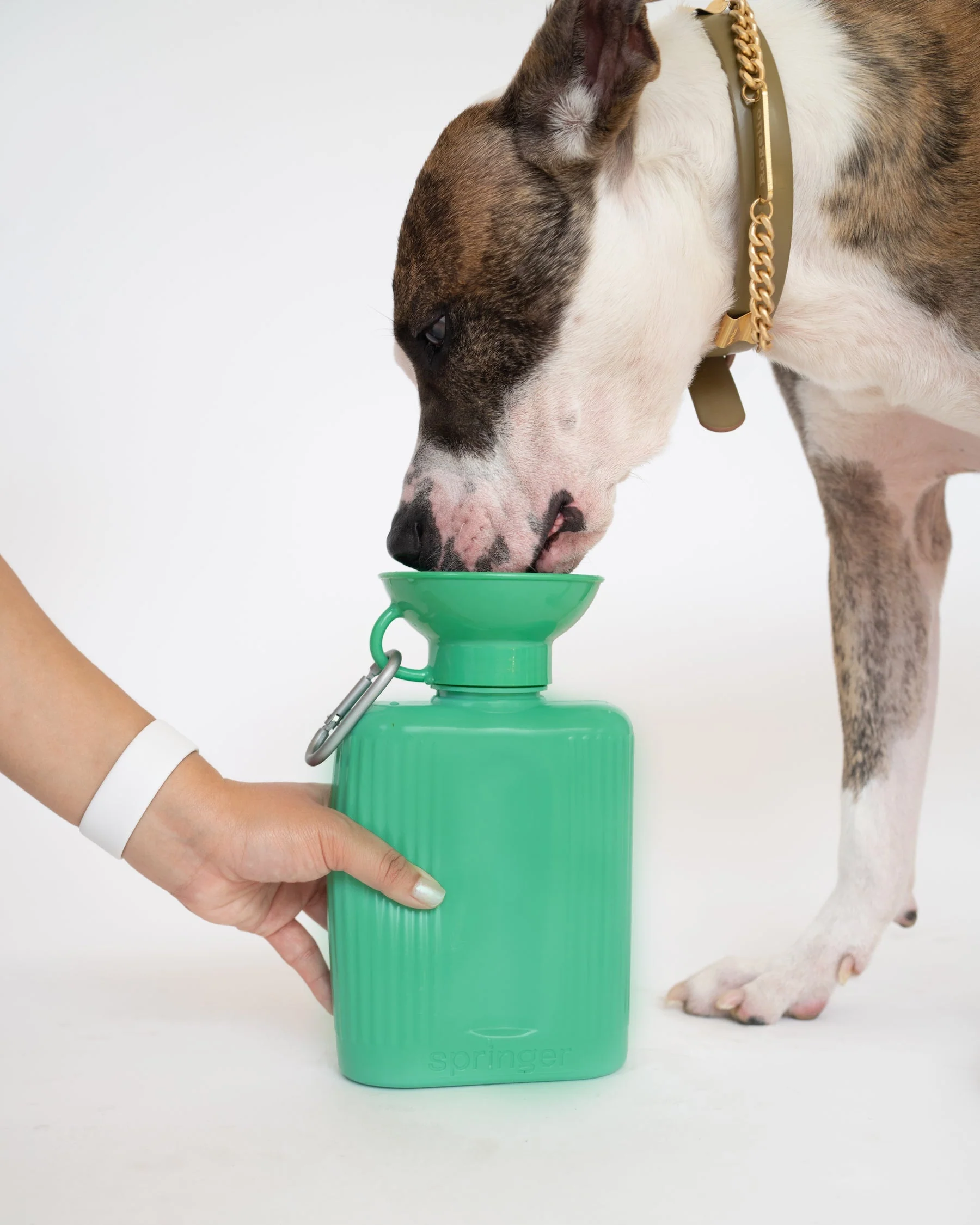 Growler Dog Travel Bottle - Image 10
