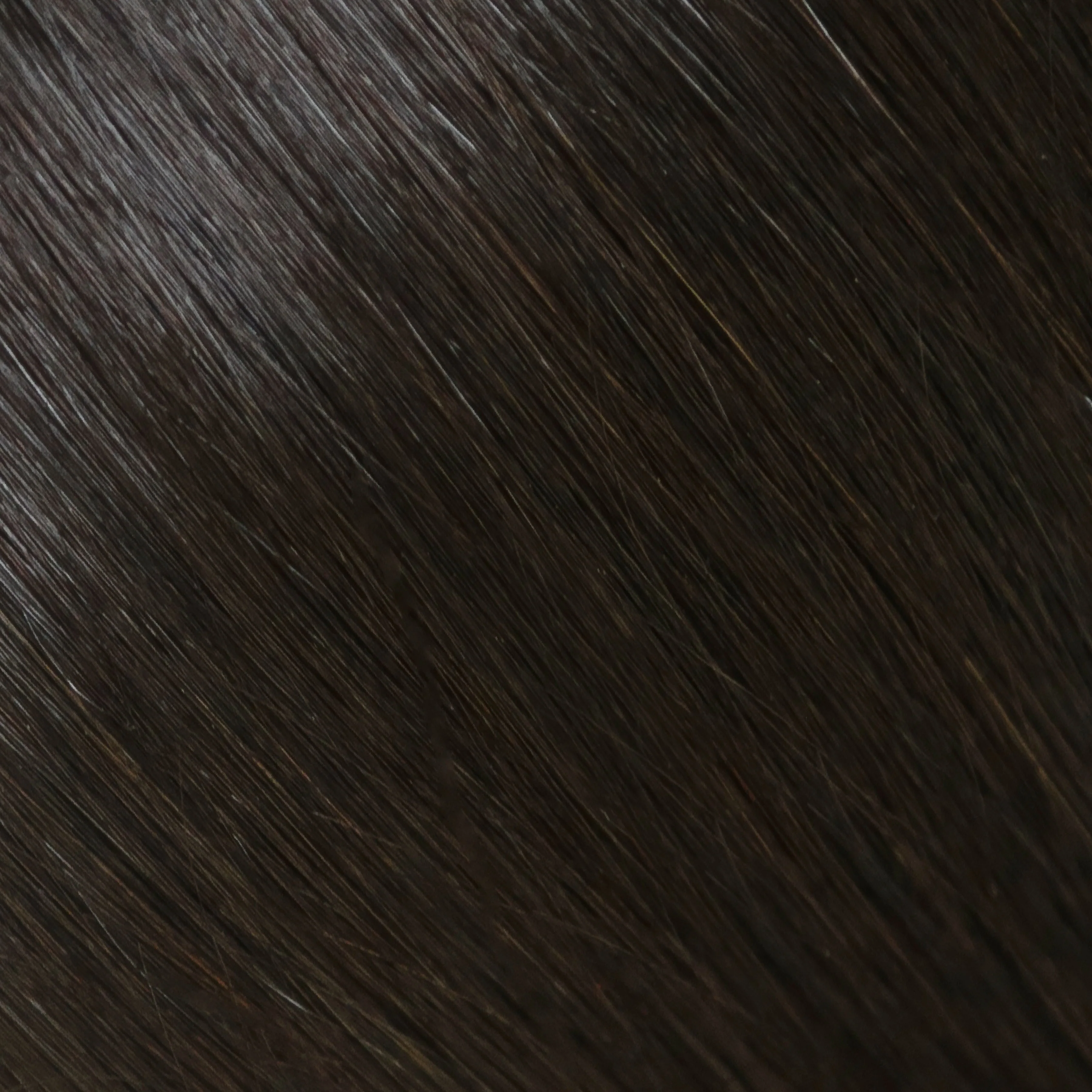 Halo Remy Hair Extensions — 18-20" - Image 5