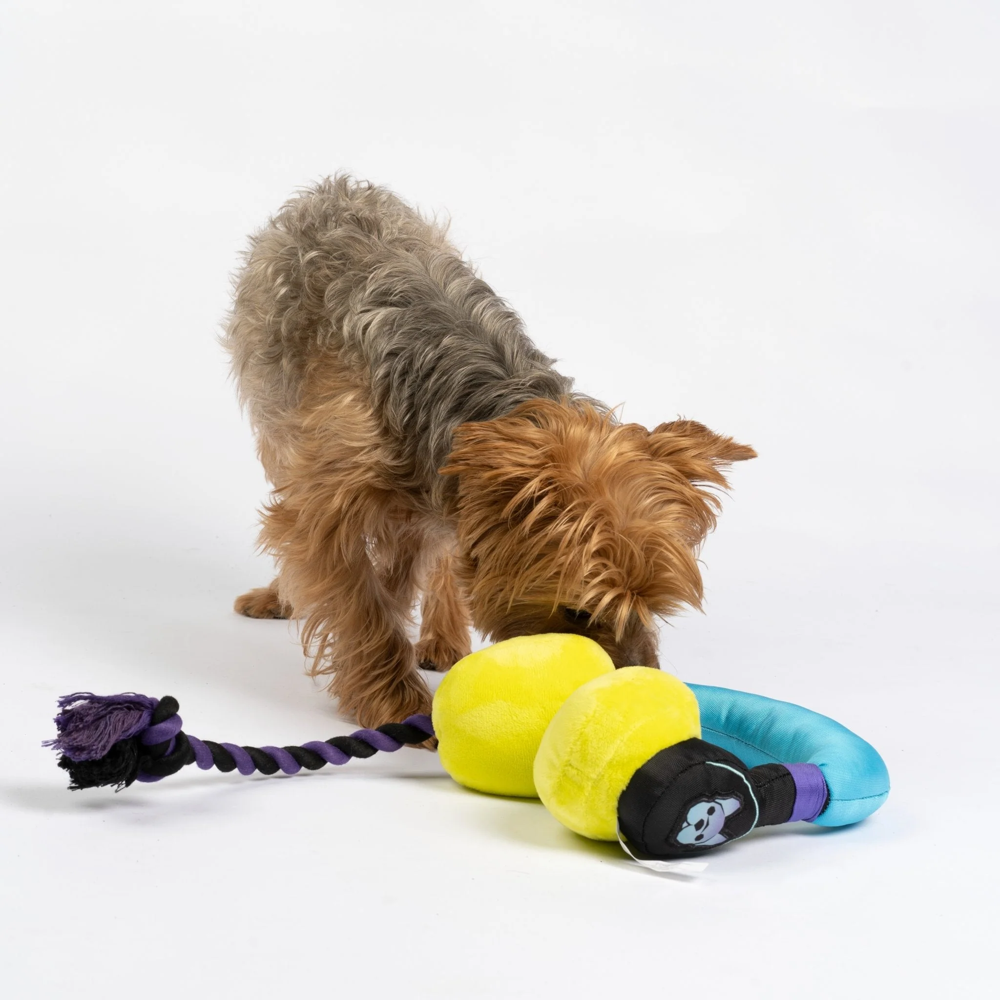 Headphones Dog Toy - Image 3