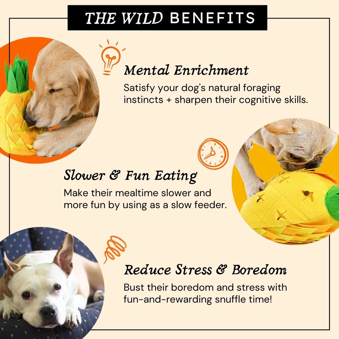 Juicy Pineapple Snuffle Mat Interactive Toy for Dogs - Image 7