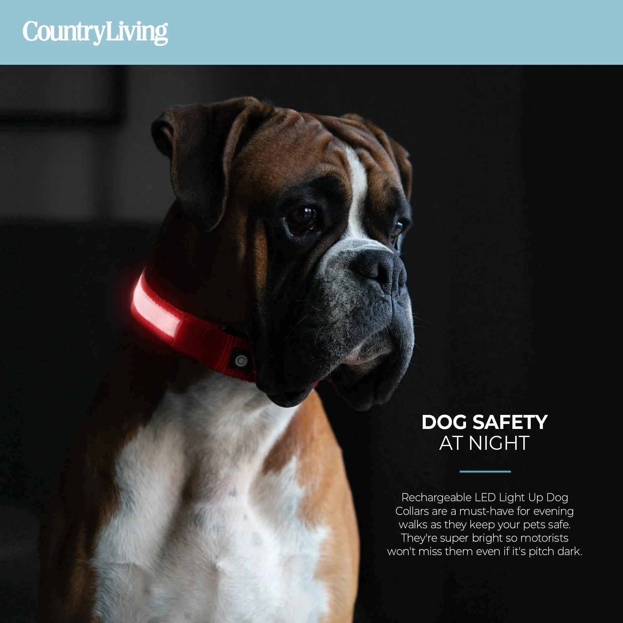 LED Dog Collar - Red - Image 4