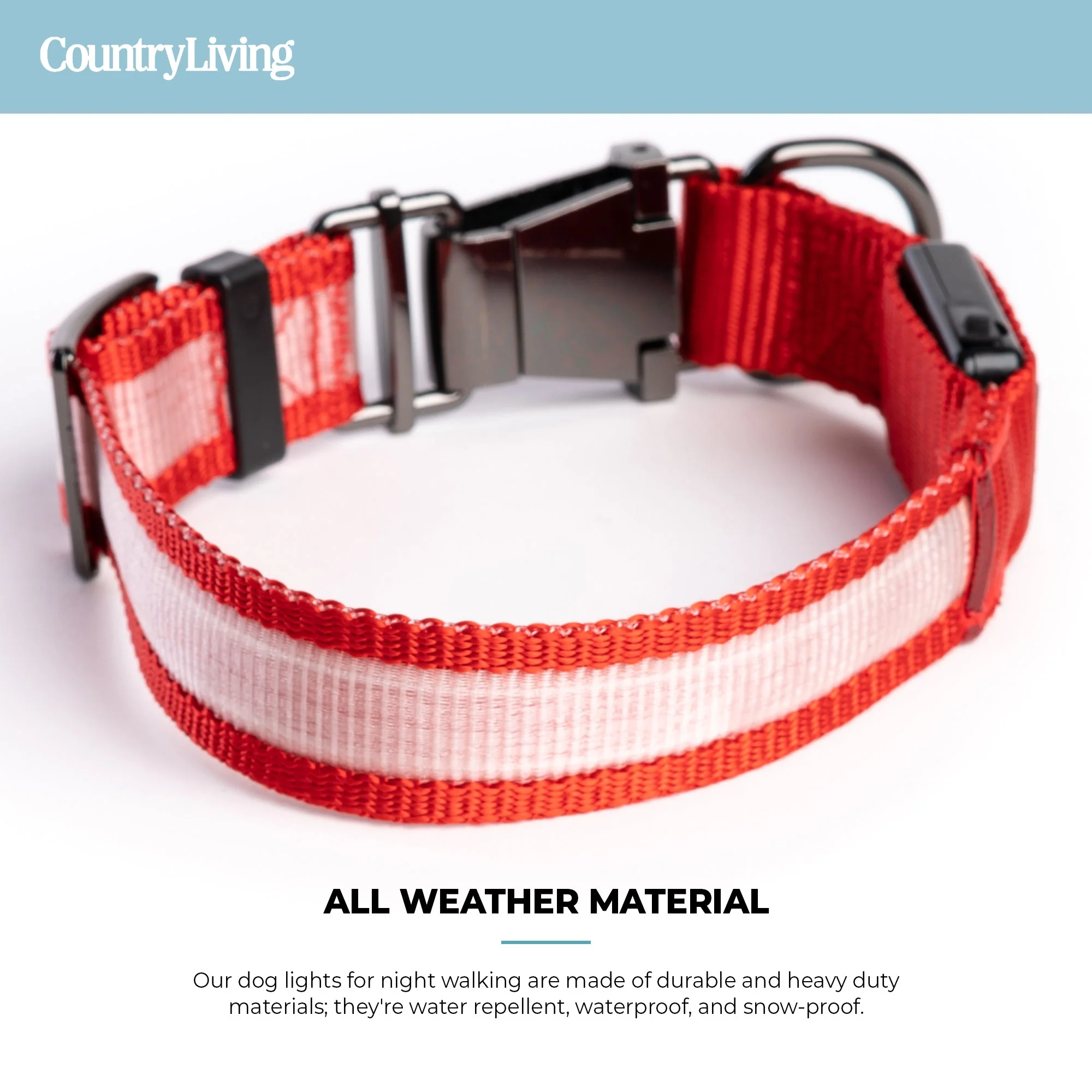LED Dog Collar - Red - Image 7