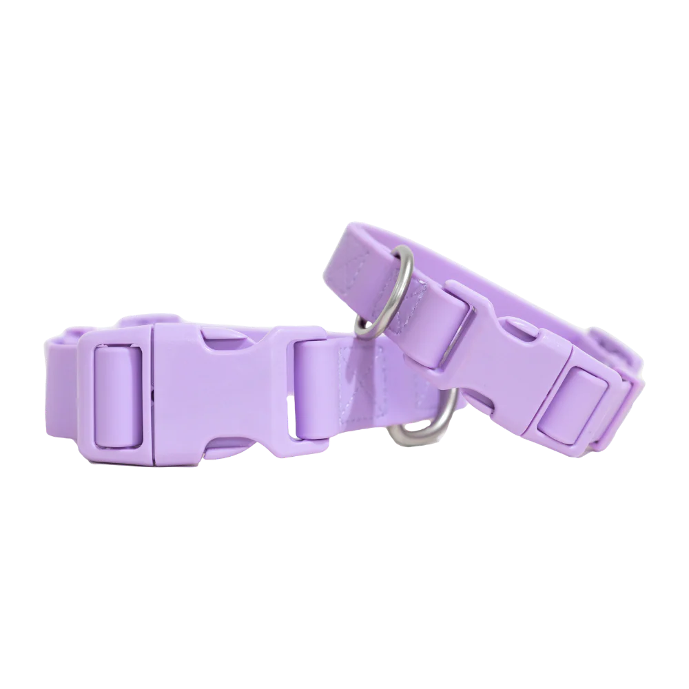 Medium Dog Collar - Image 4