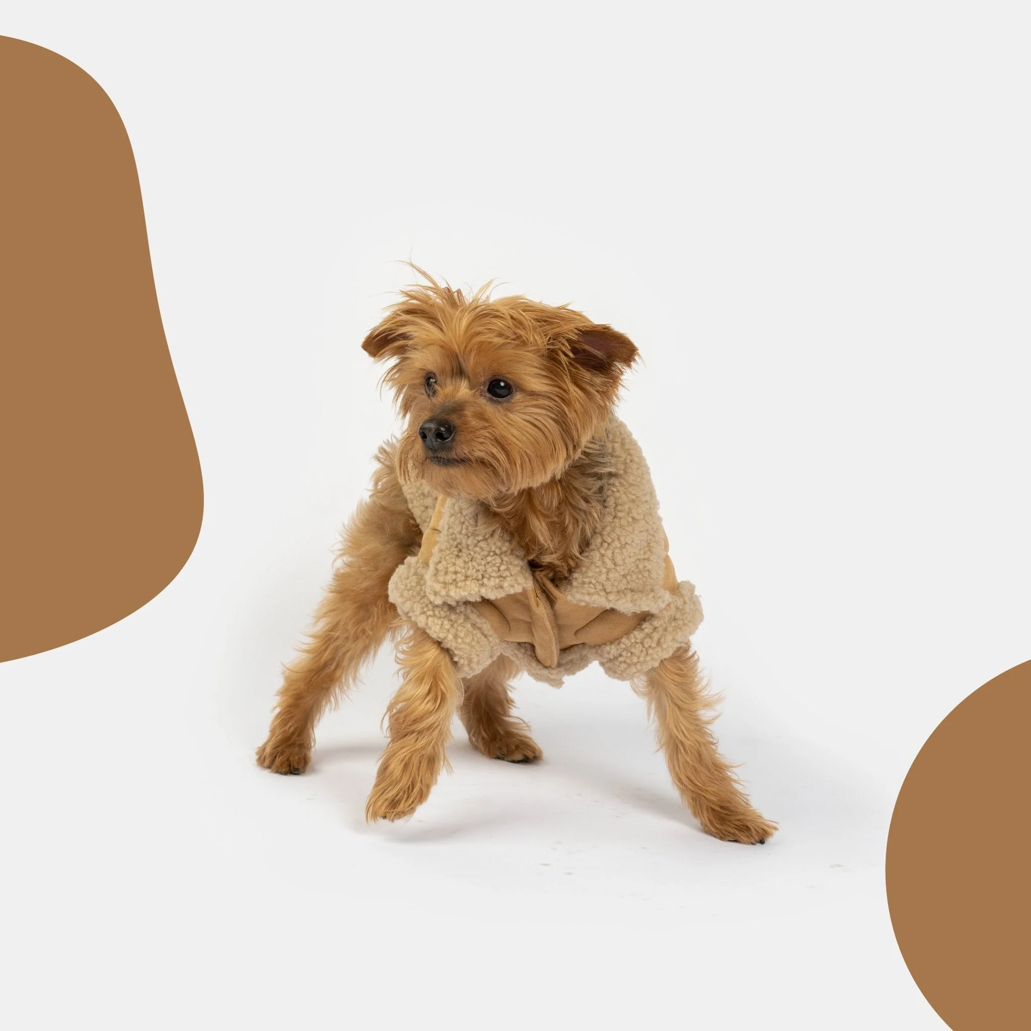 Millie Dog Jacket Vegan Suede with Sherpa Trim & Poop Bag Dispenser - Image 7