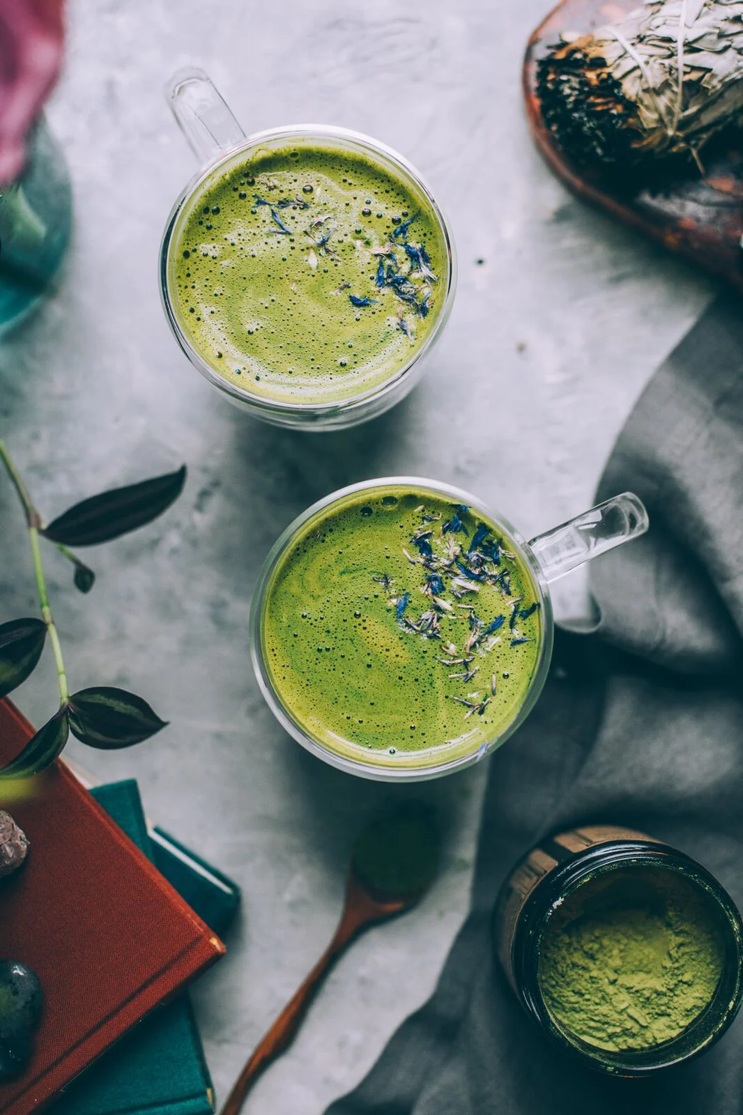MORINGA | Super-Tonic* - Image 5