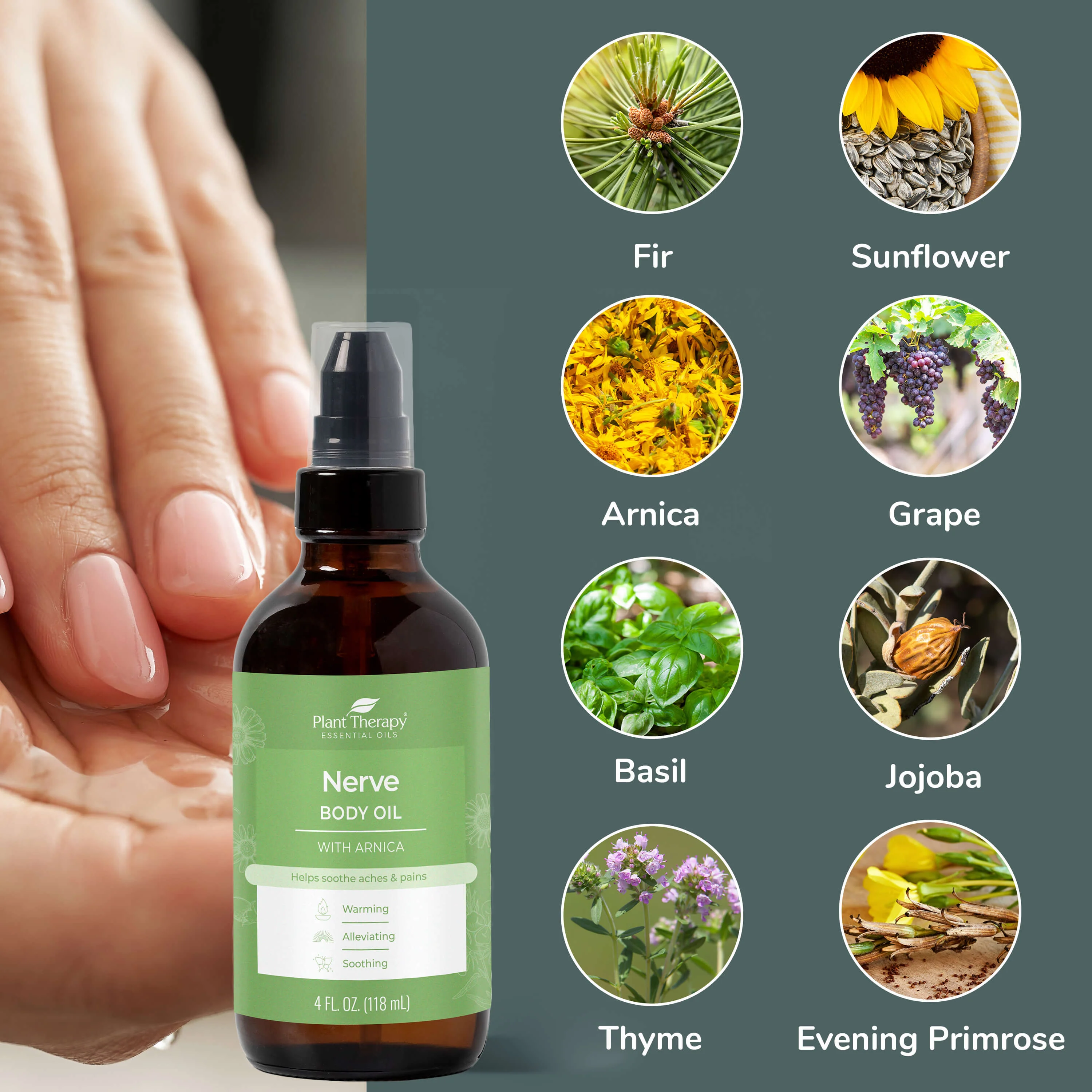 Nerve Body Oil with Arnica - Image 3