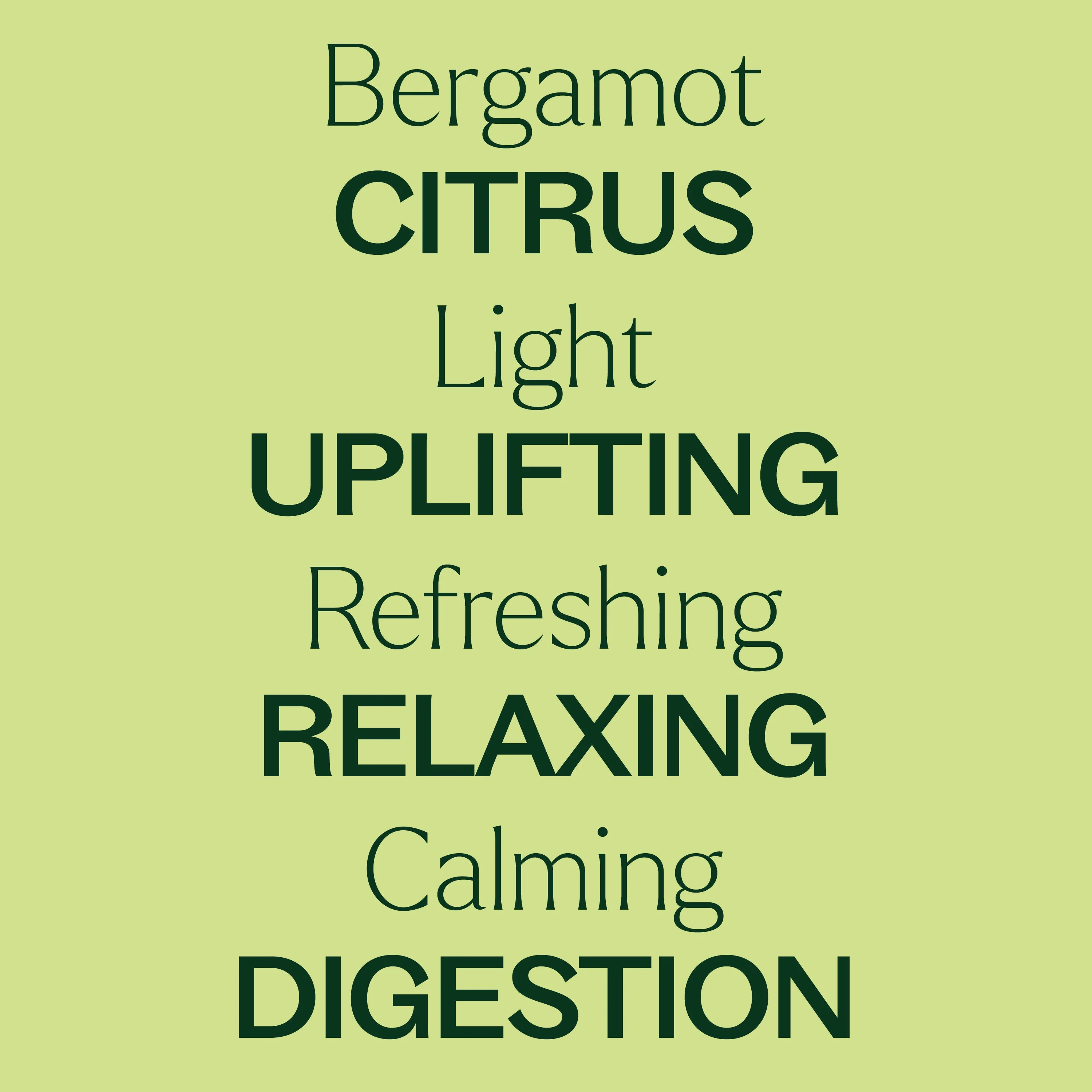 Organic Bergamot Essential Oil - Image 2