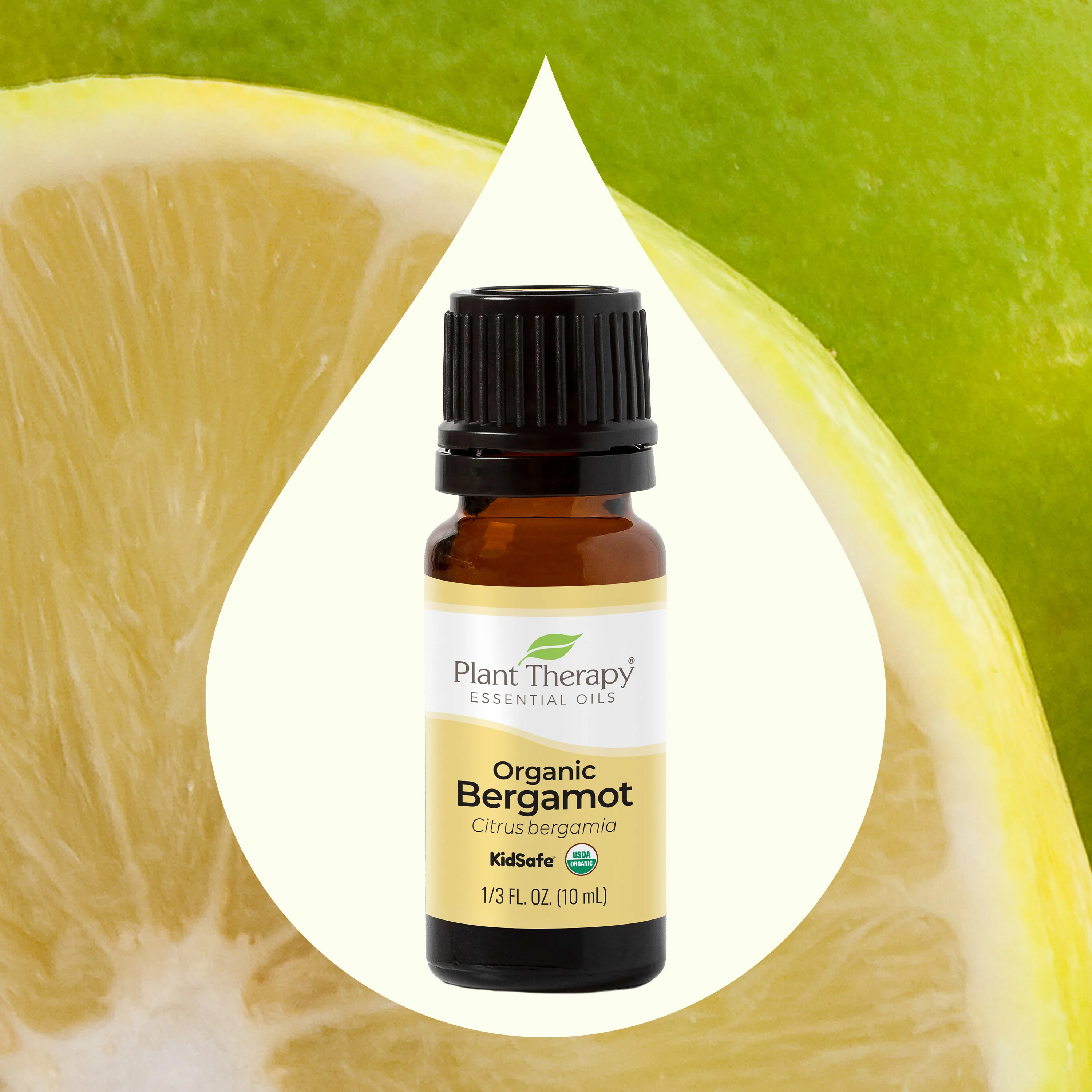 Organic Bergamot Essential Oil - Image 3