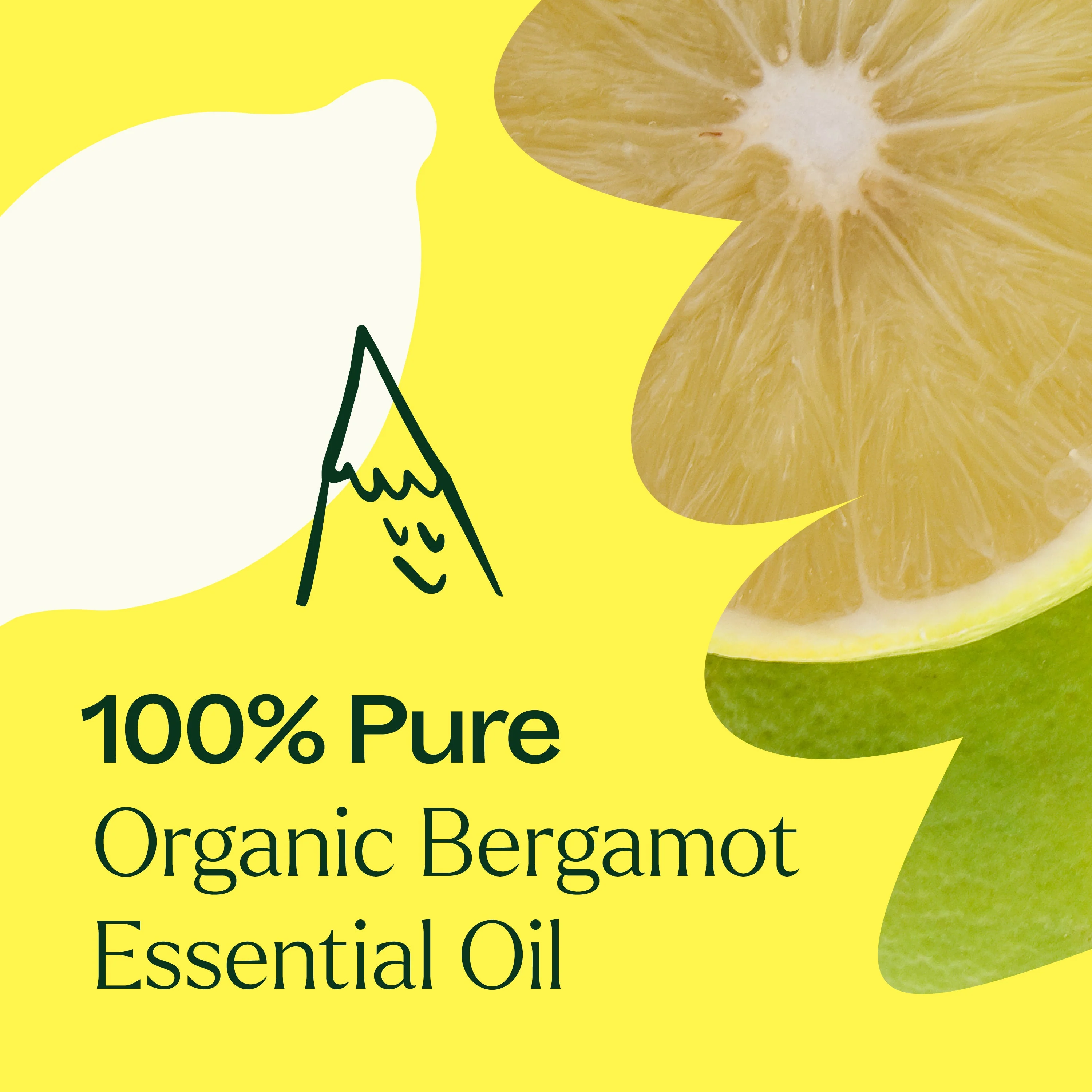 Organic Bergamot Essential Oil - Image 4